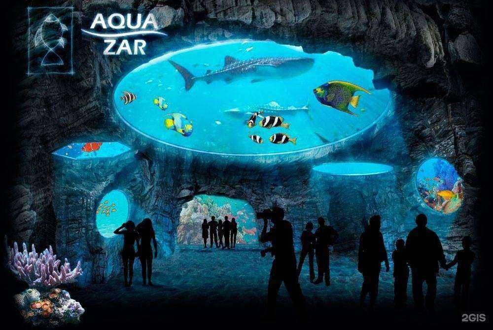 Отзывы на компанию Aqua Zar в Екатеринбурге c фото