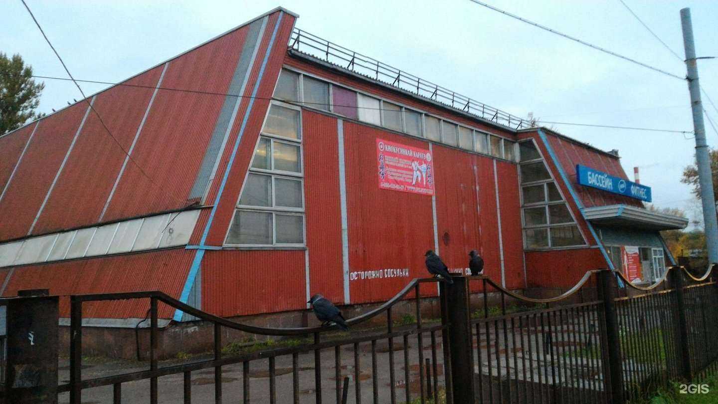 Отзывы на компанию Спортивная федерация киокусинкай в Нижнем Новгороде c фото - фотография 2 из 2