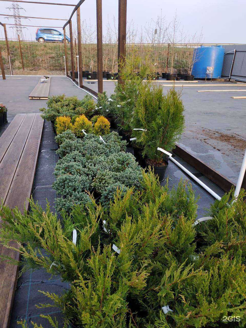 Отзывы на компанию Енисейский сад в Красноярске c фото