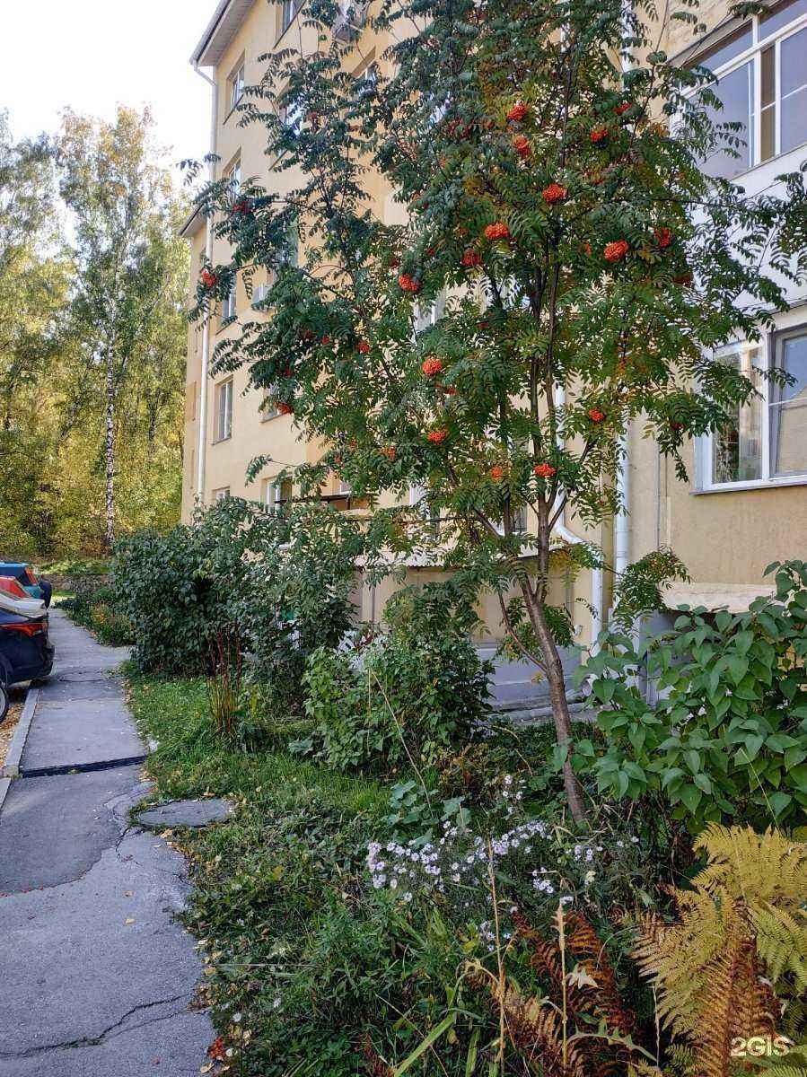 Отзывы на компанию Аннушка в Новосибирске c фото - фотография 2 из 2