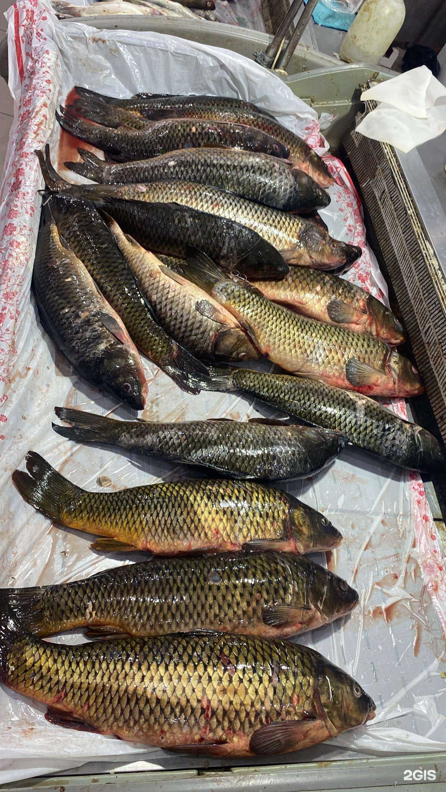 Отзывы на компанию Мясной гурман в Астрахани c фото