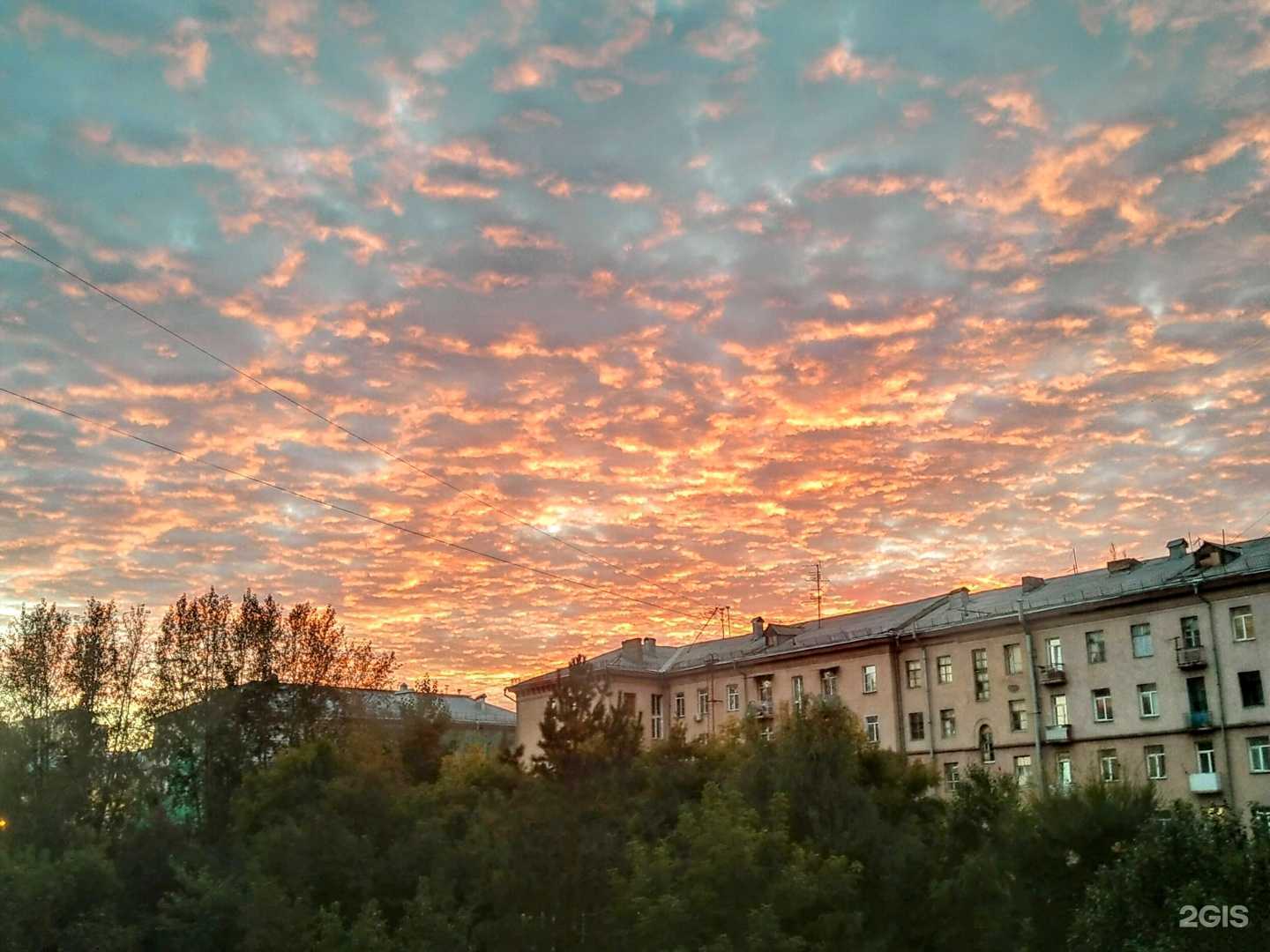 Отзывы на компанию Центр развития мозга в Новосибирске c фото - фотография 2 из 2