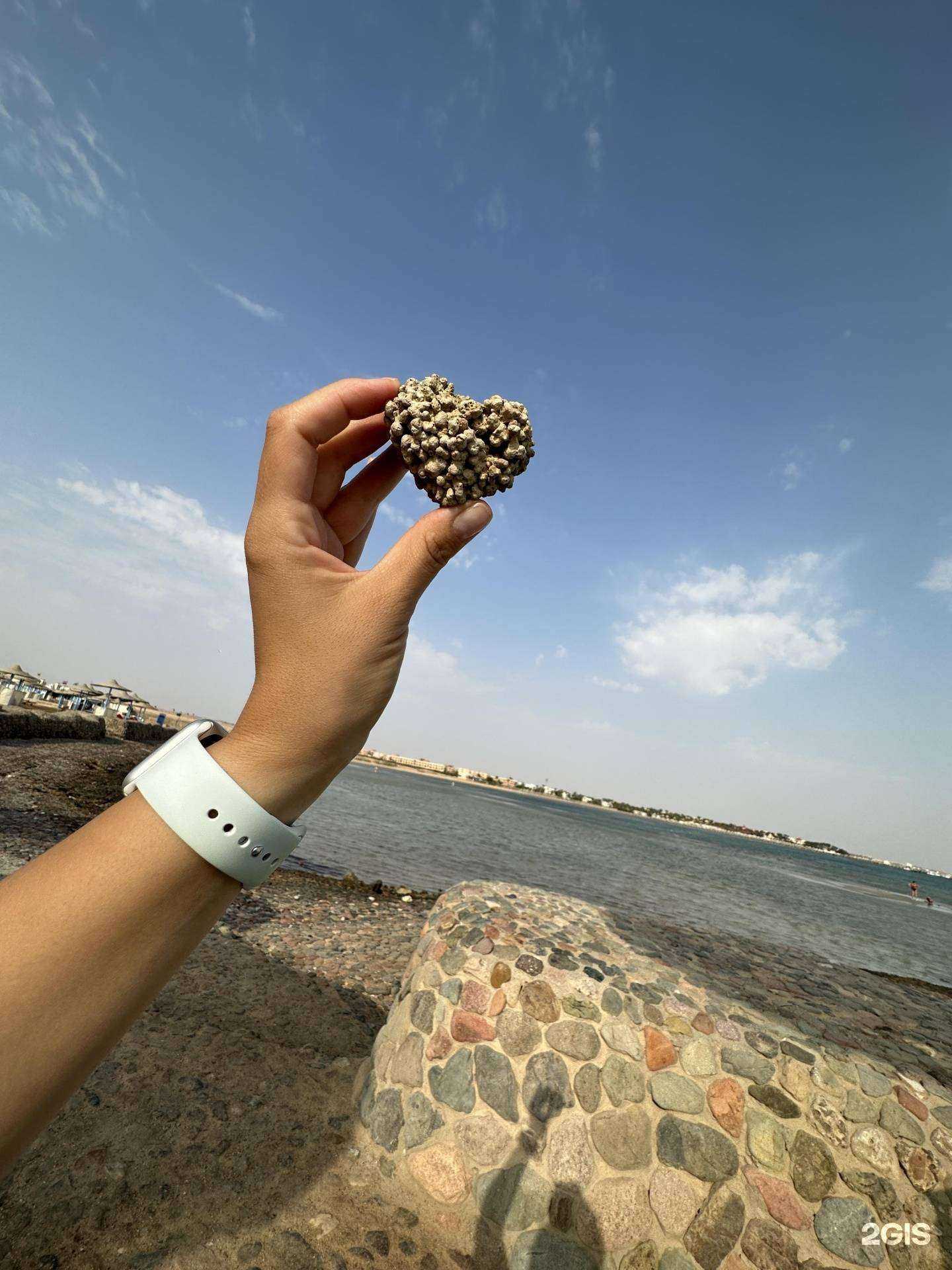 Отзывы на компанию Селена 2017 в Екатеринбурге c фото