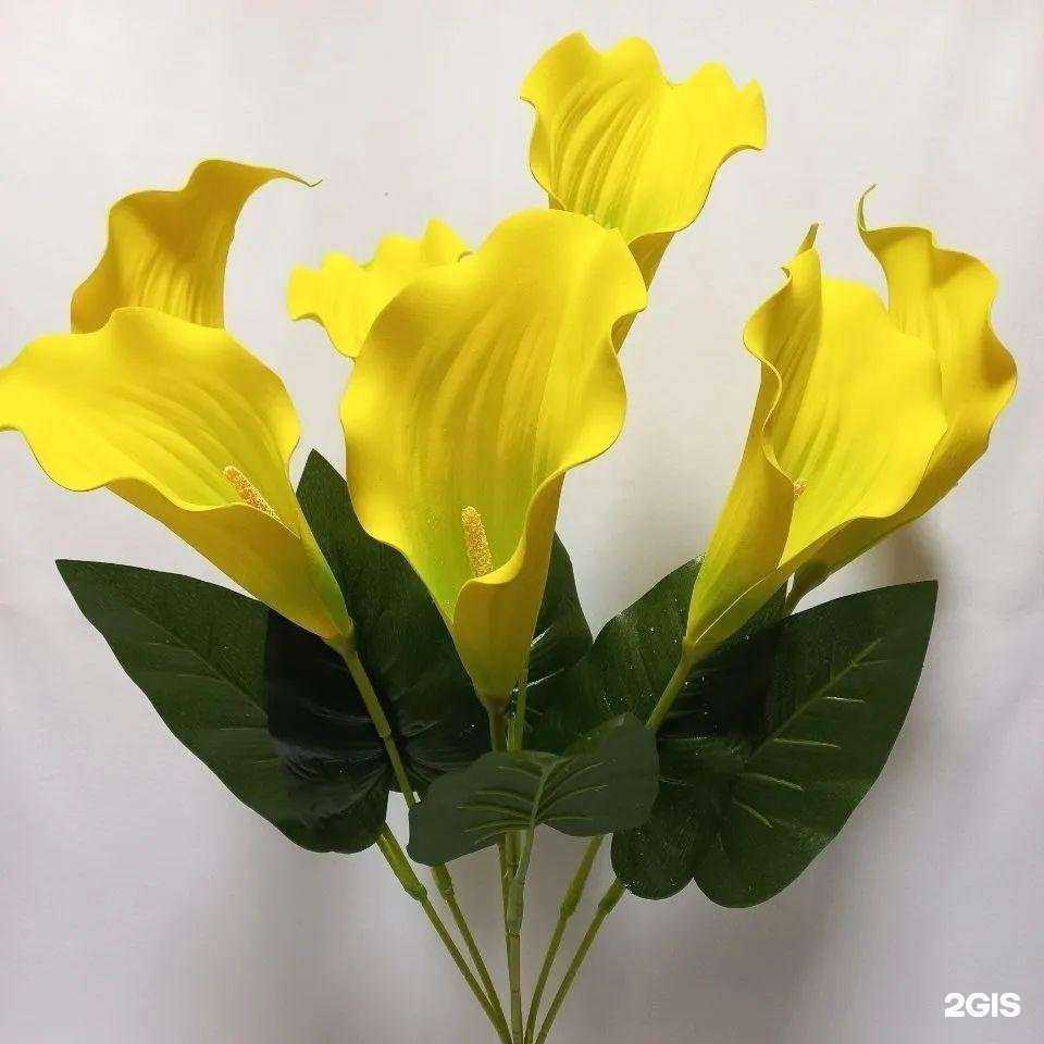 Отзывы на компанию floratime.vrn в Воронеже c фото