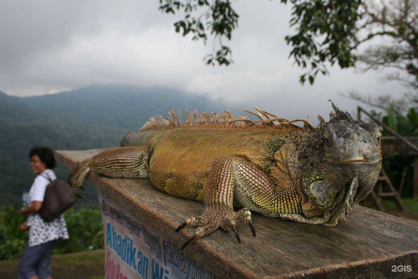 Отзывы на компанию Робинзон в г. Курган c фото