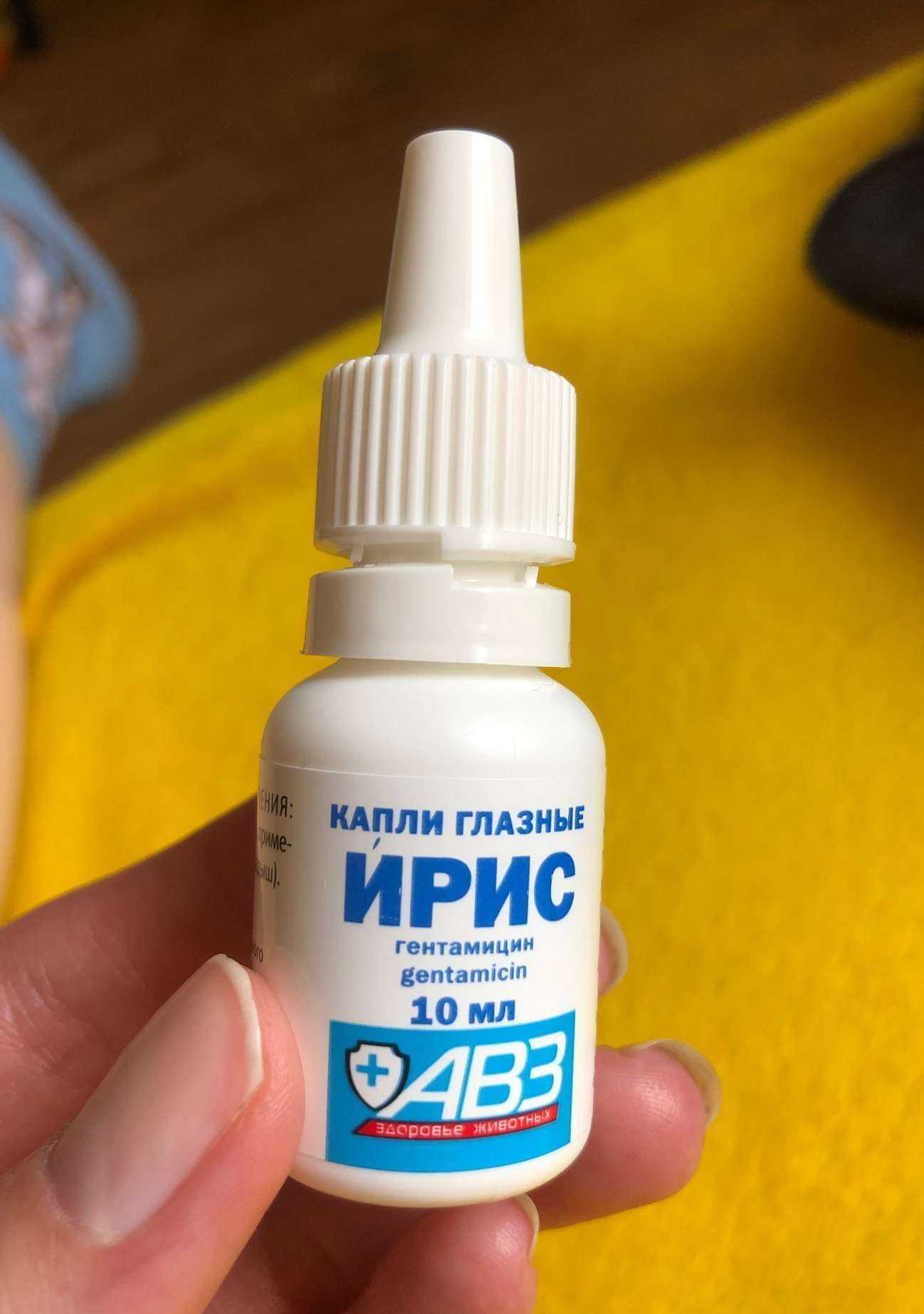 Отзывы на компанию Питомец в Красноярске c фото