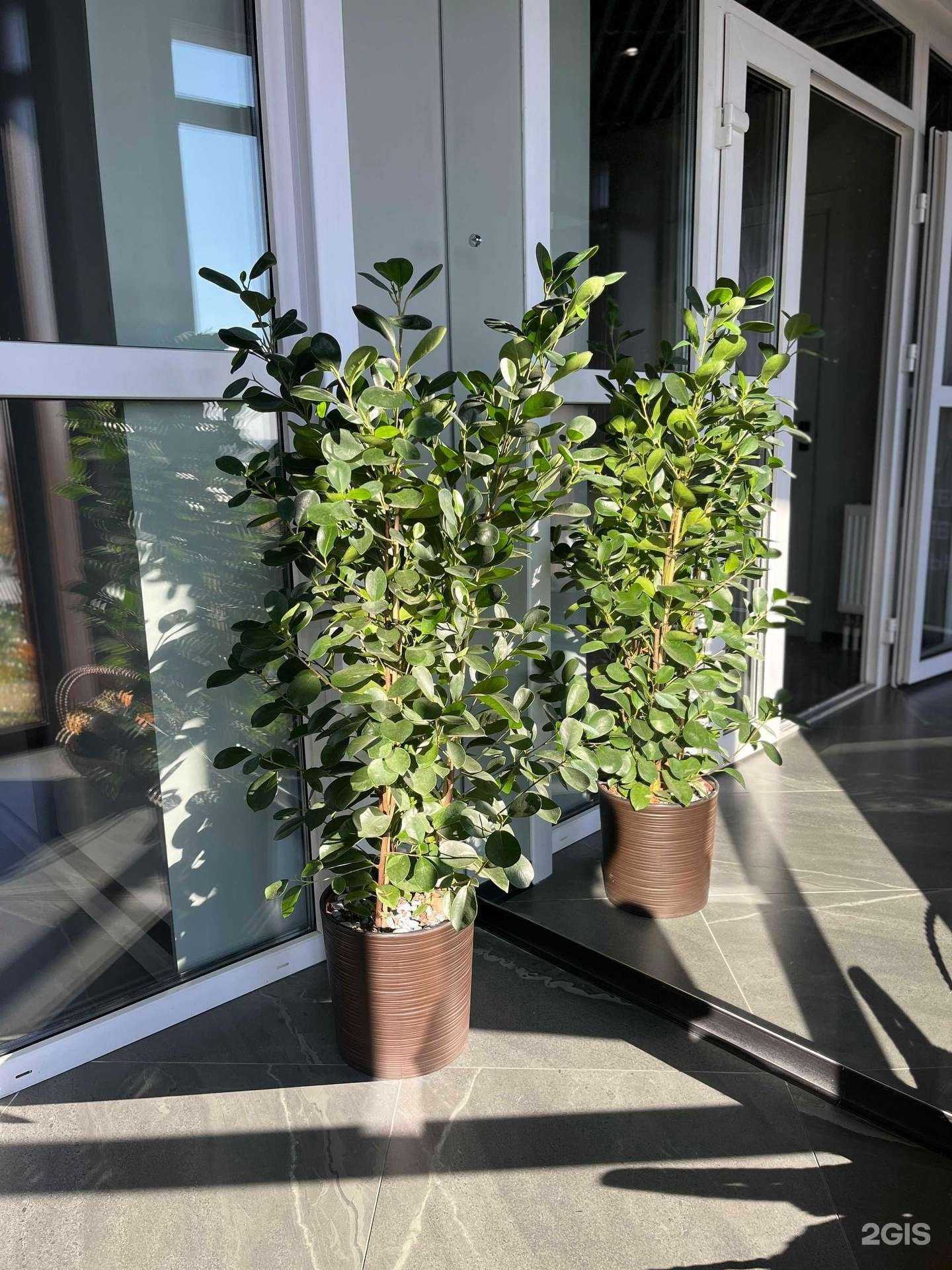 Отзывы на компанию Анатомия Молодости в г. Владимир c фото