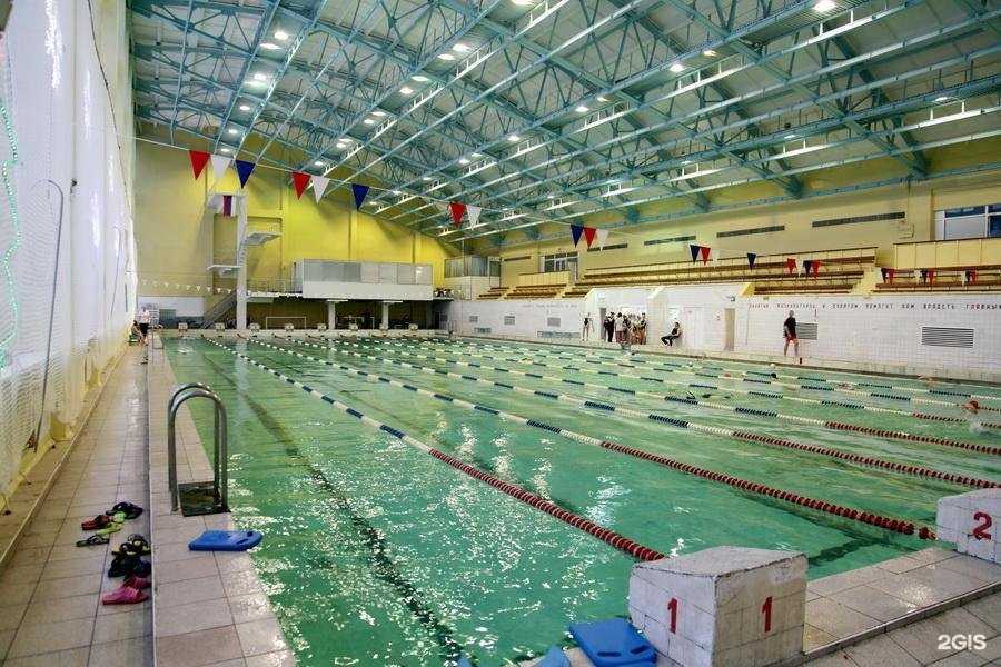 Отзывы на компанию Дельфин в Нижнем Новгороде c фото