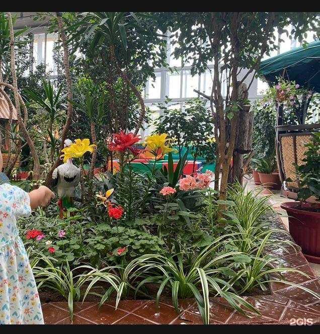 Отзывы на компанию Рябинушка в Петропавловске-Камчатском c фото