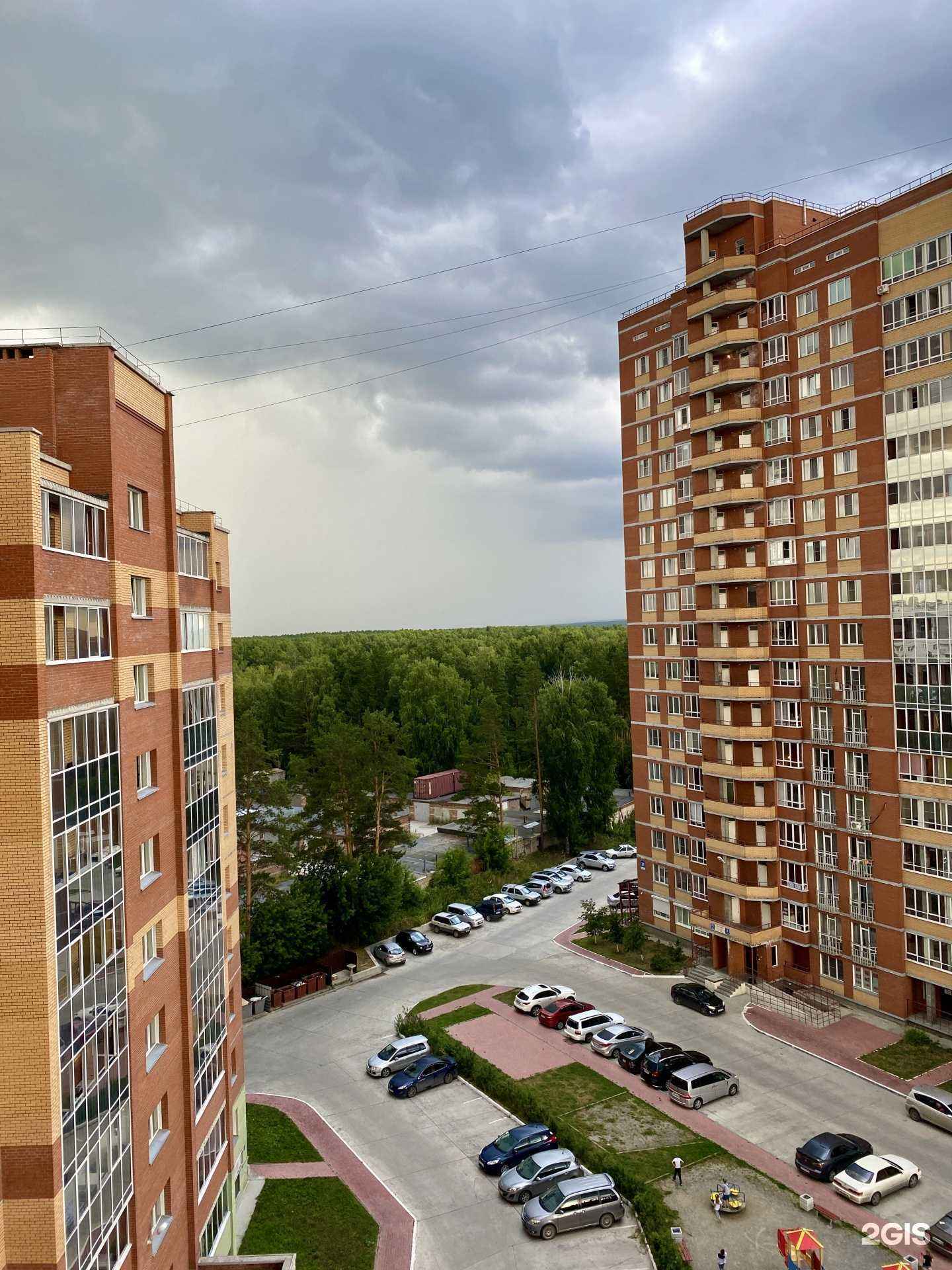 Отзывы на компанию Морские черепашки в Новосибирске c фото - фотография 2 из 2