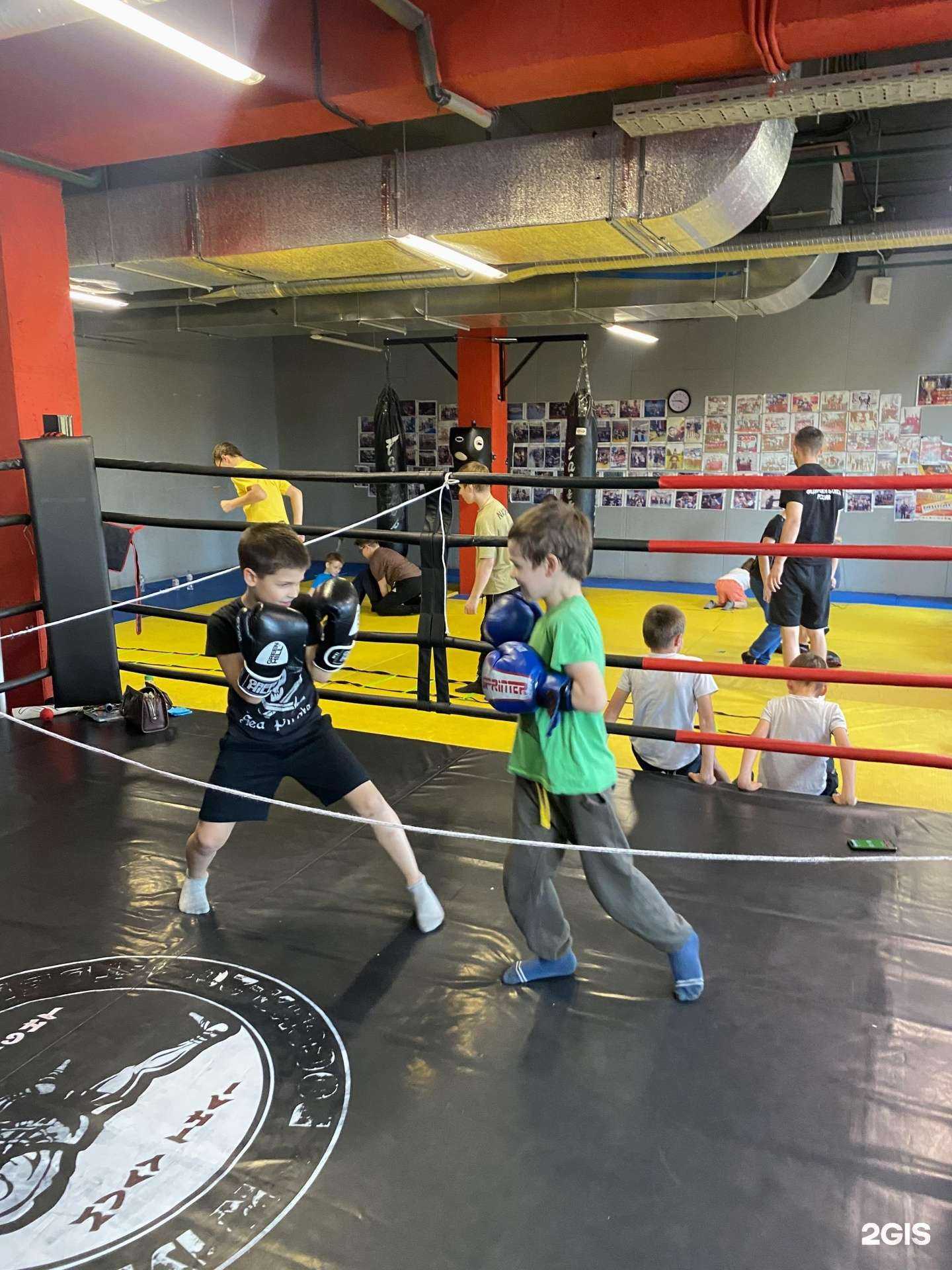 Отзывы на компанию Рокки в Твери c фото