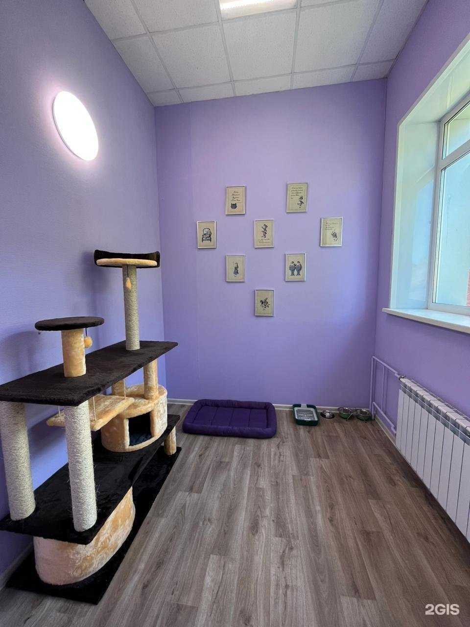 Отзывы на компанию Ирбис в г. Кемерово c фото