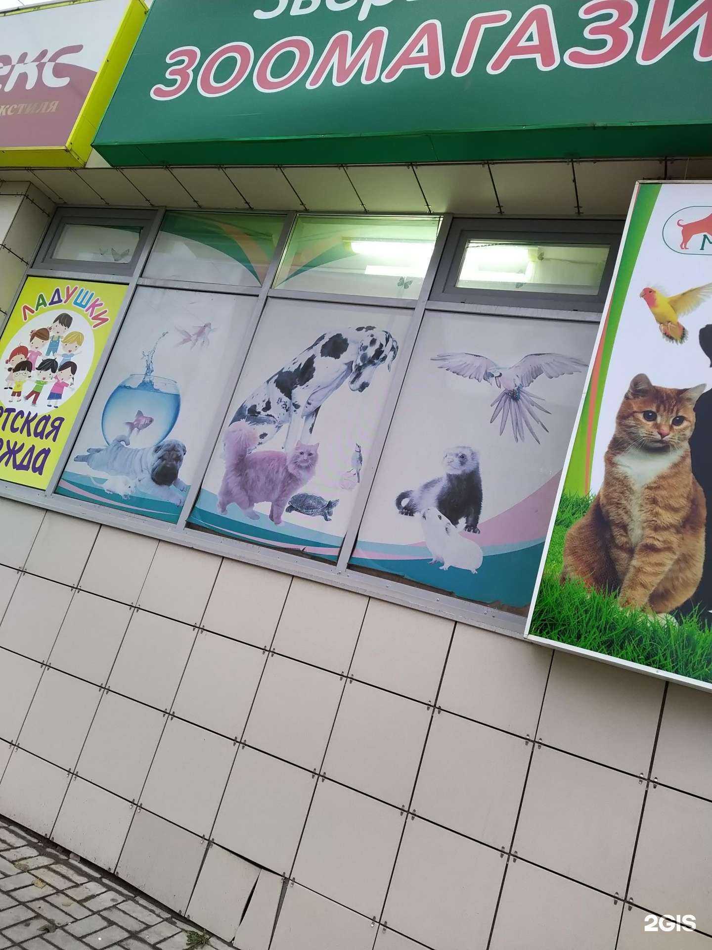 Отзывы на компанию Зверье мое в Кирове c фото