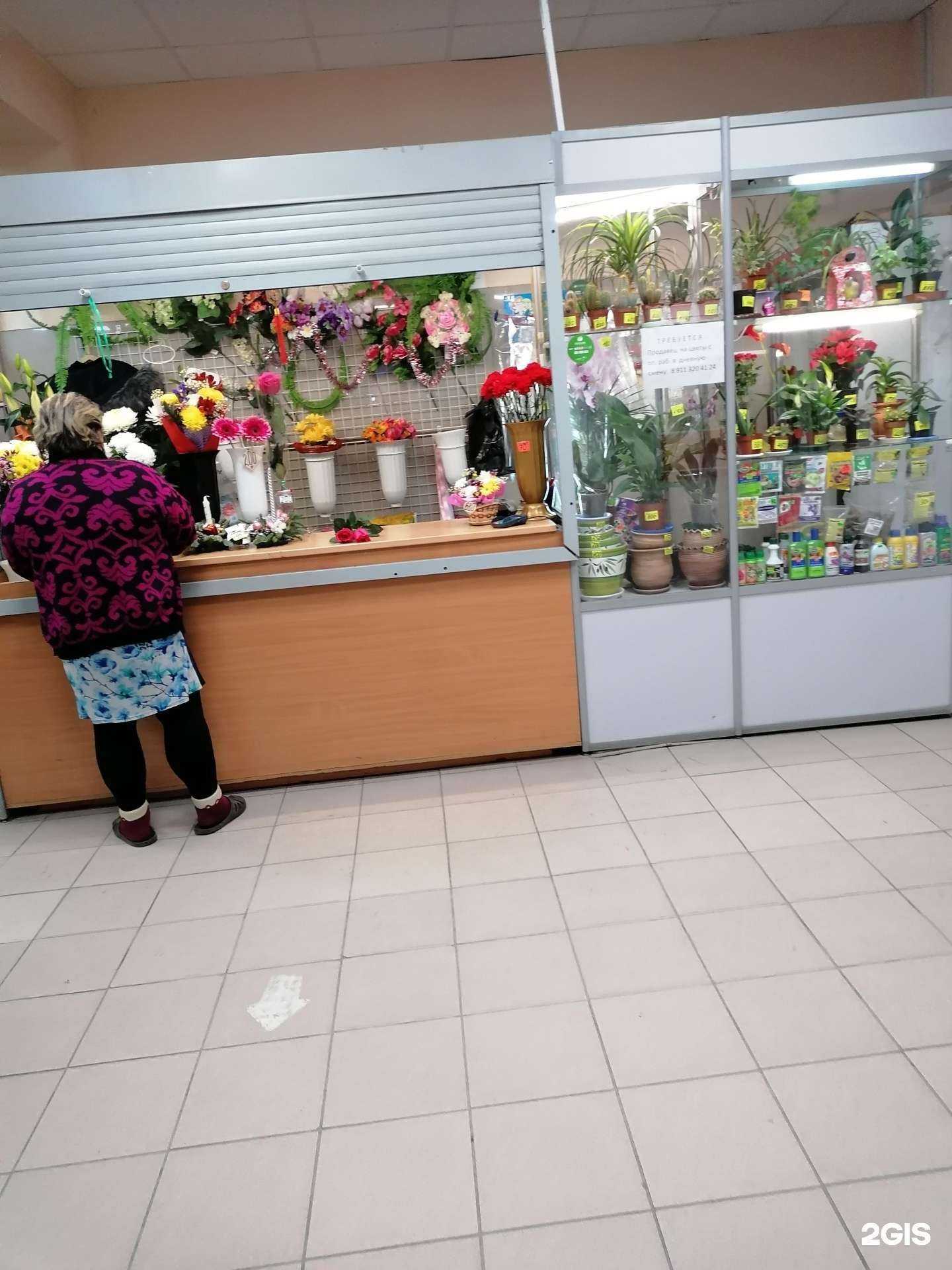 Отзывы на компанию 7 цветик в г. Мурманск c фото