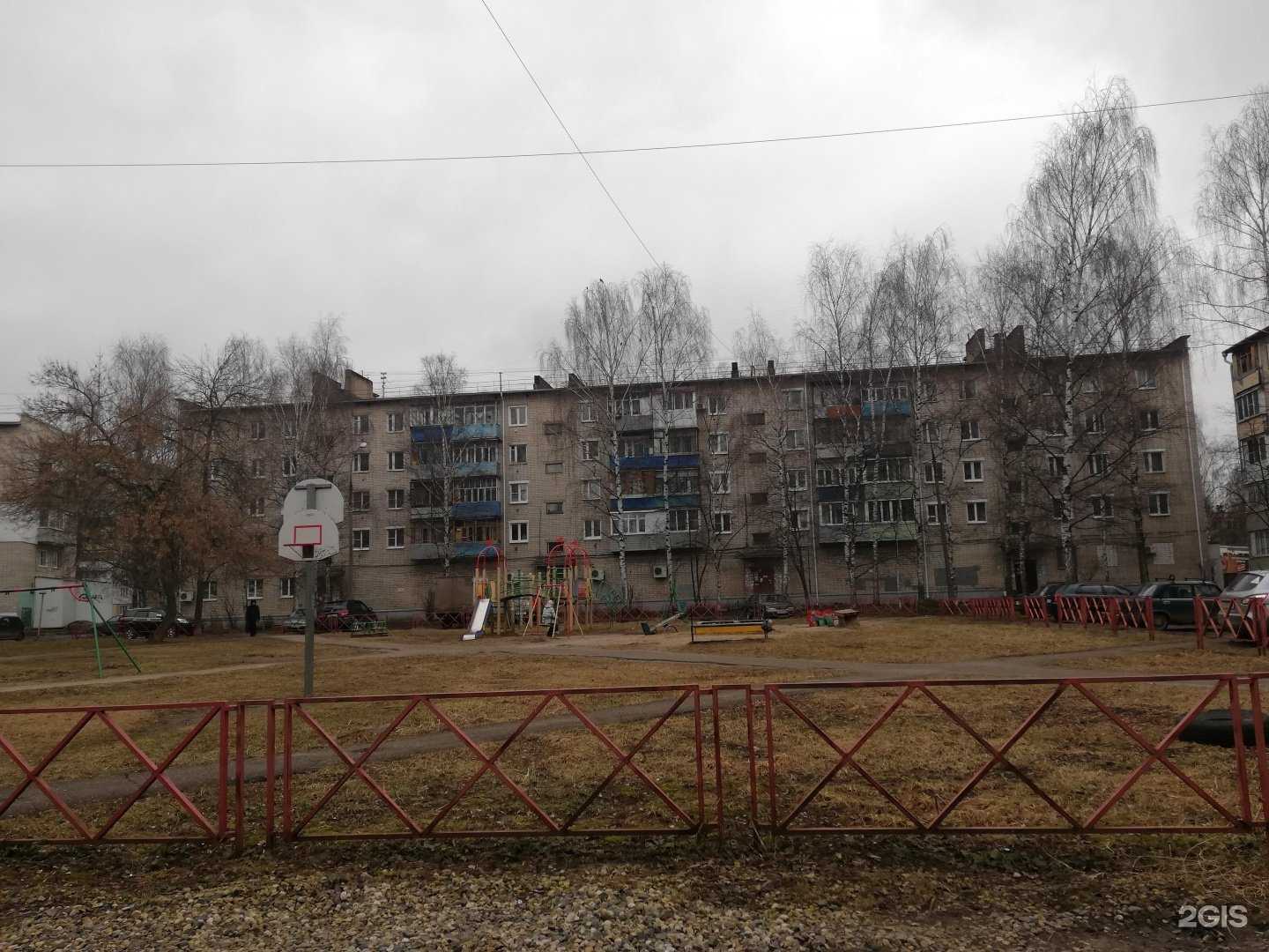 Отзывы на компанию Алоэ в Ярославле c фото - фотография 2 из 2