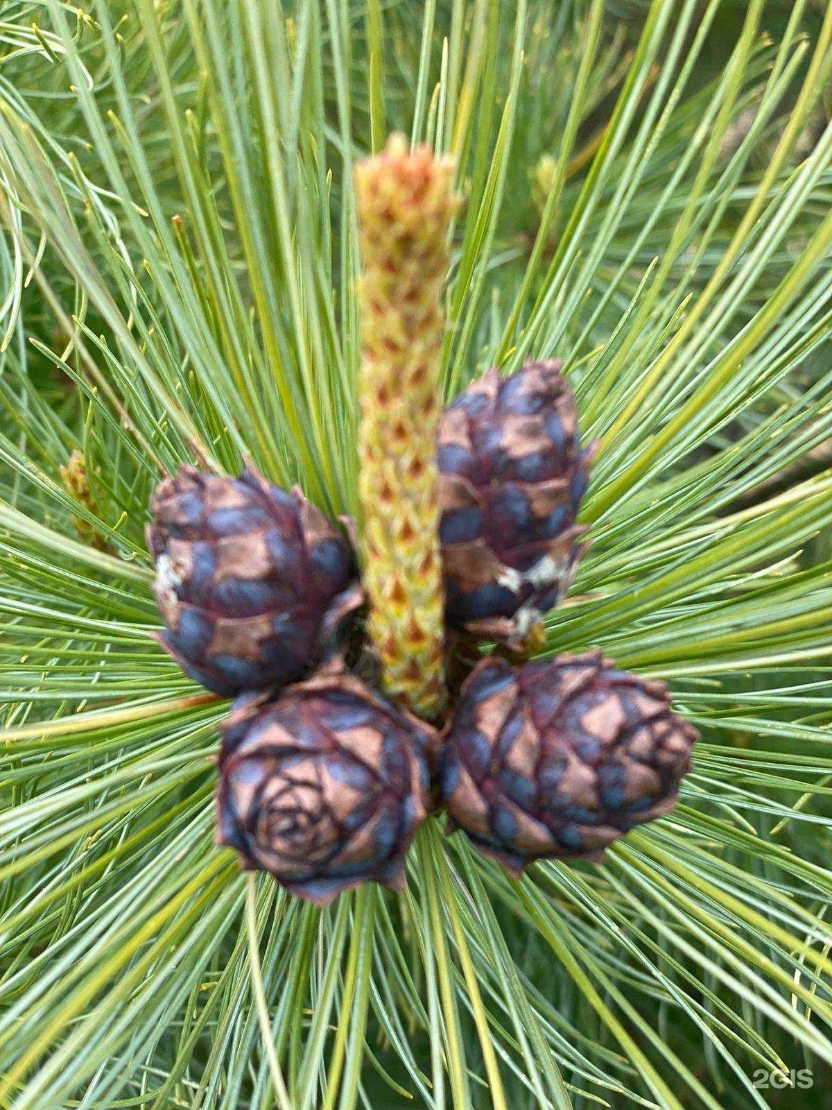 Отзывы на компанию Красметстрой-Юг в Краснодаре c фото