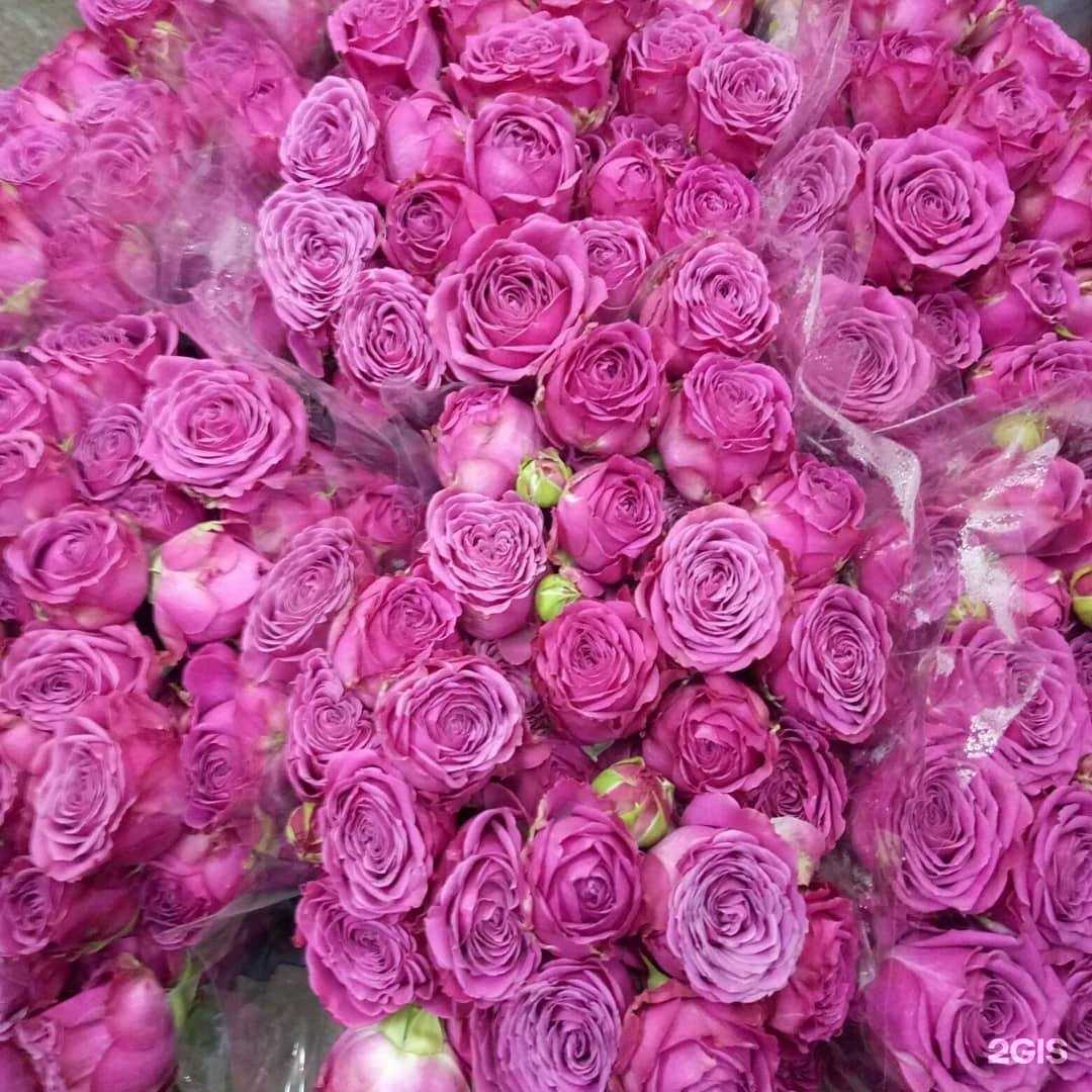 Отзывы на компанию Разноцвет в Челябинске c фото