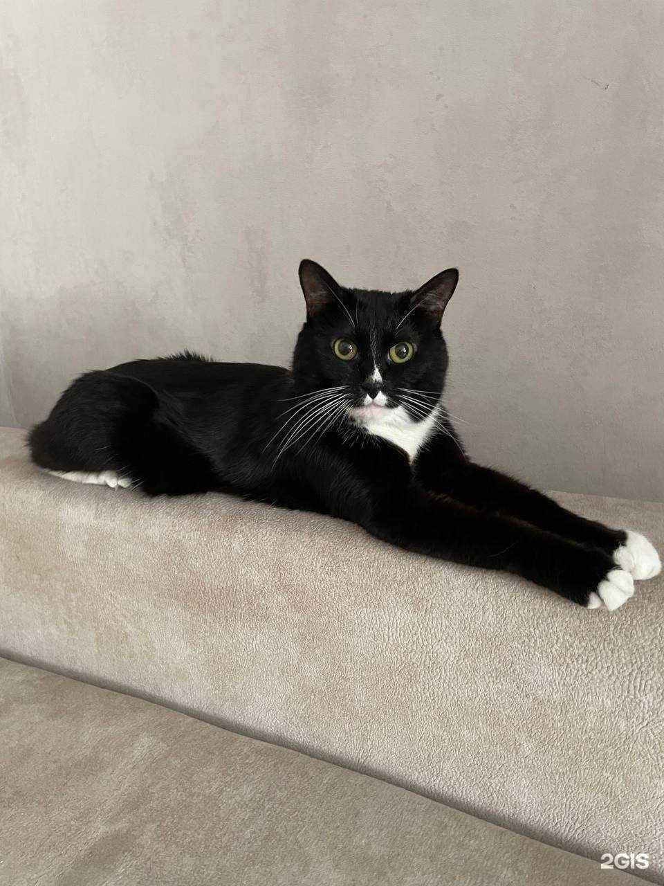 Отзывы на компанию Дымовой в г. Искитим c фото