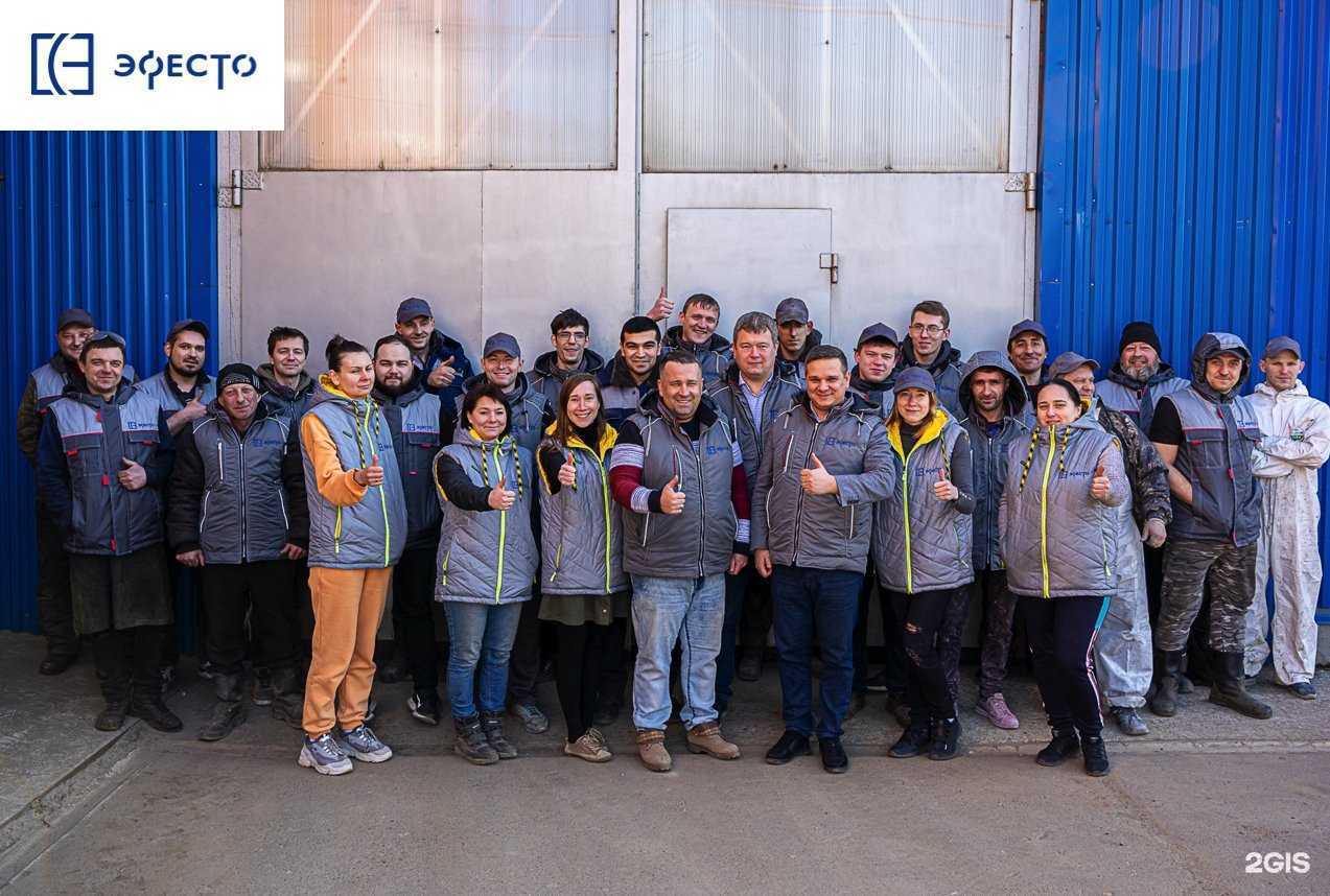 Отзывы на компанию Эфесто в Павловском Посаде c фото