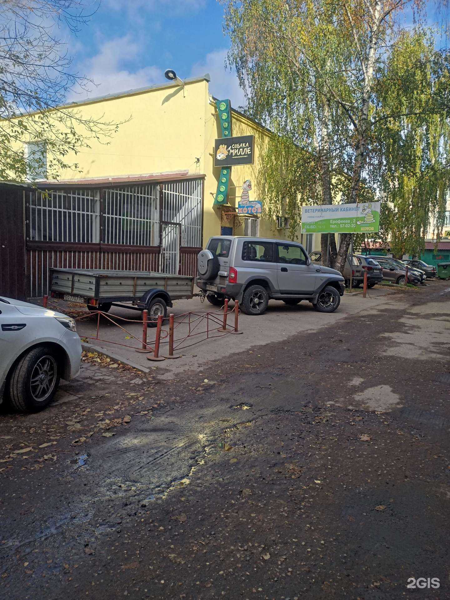 Отзывы на компанию Доктор Котов в Твери c фото - фотография 2 из 2