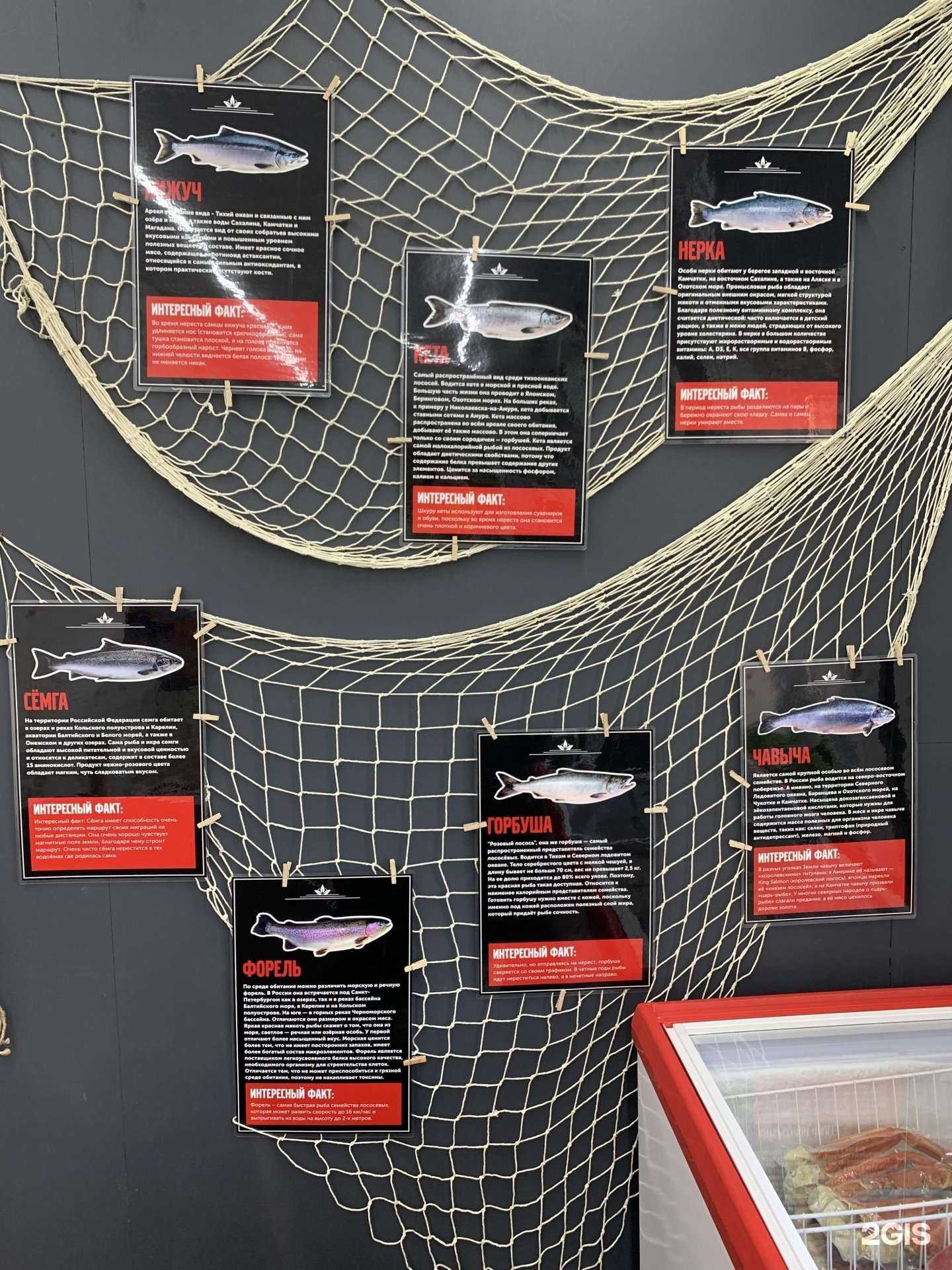 Отзывы на компанию Богатство Камчатки в г. Иркутск c фото