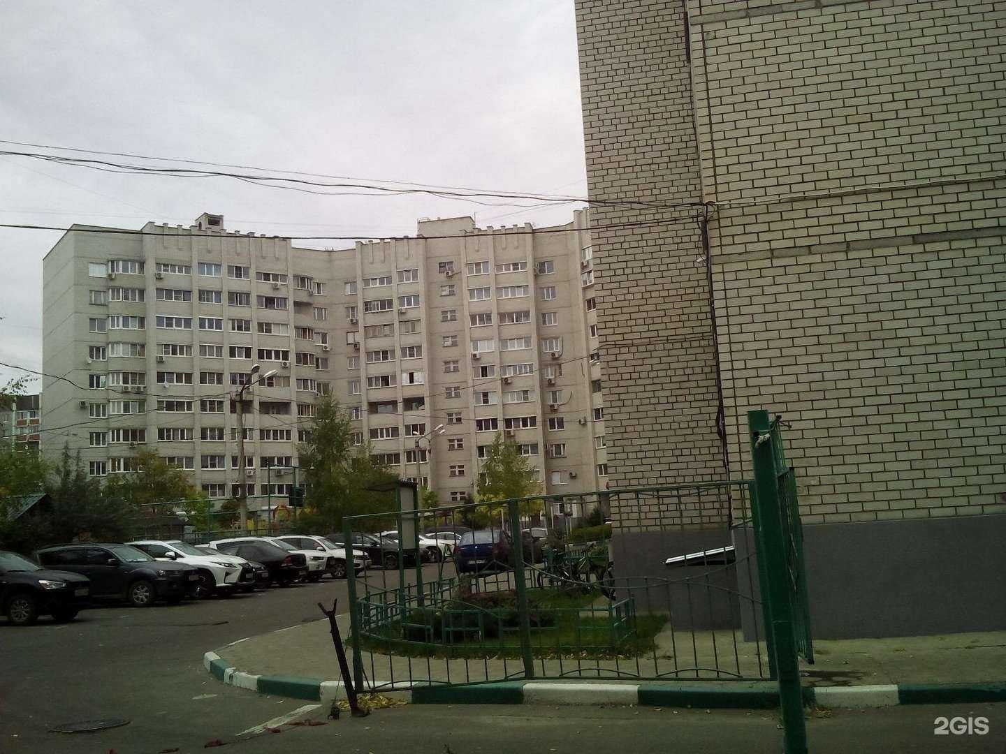 Отзывы на компанию Здоровый город в Воронеже c фото