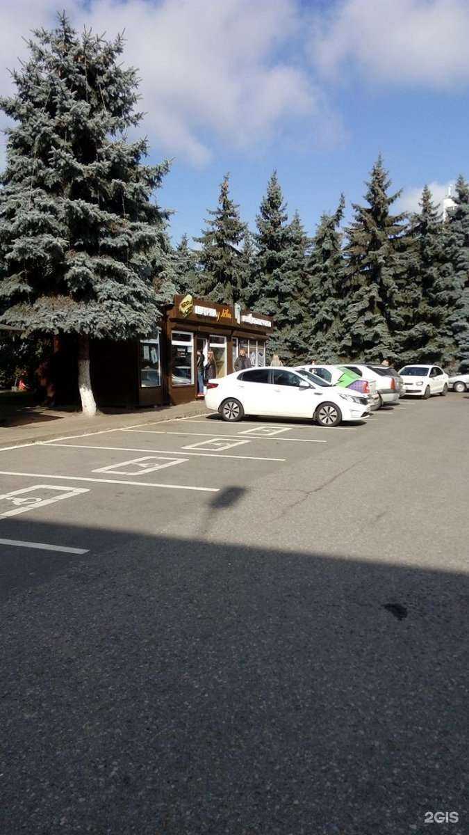 Отзывы на компанию Шаурма у Лёвы в Брянске c фото