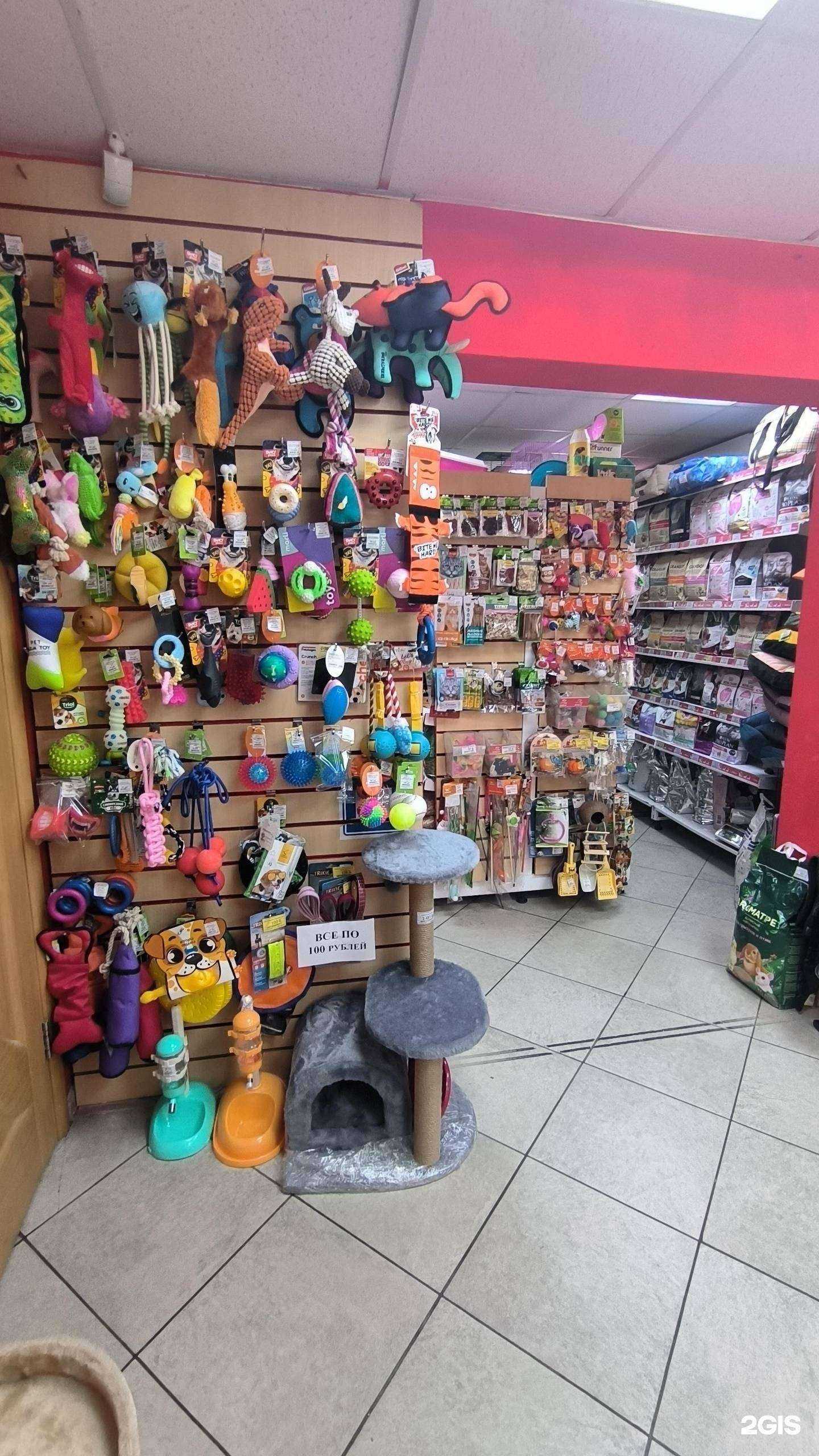 Отзывы на компанию Zveruga.net в Сочи c фото