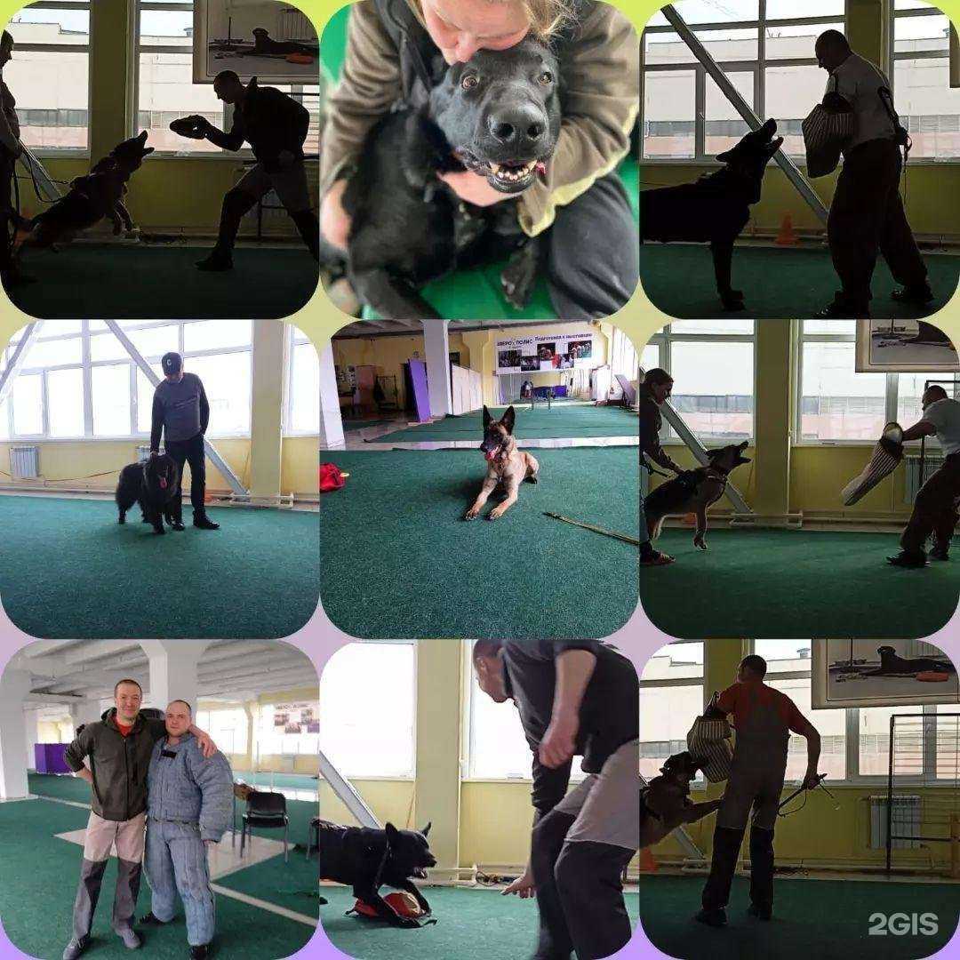 Отзывы на компанию Зверополис в Ижевске c фото