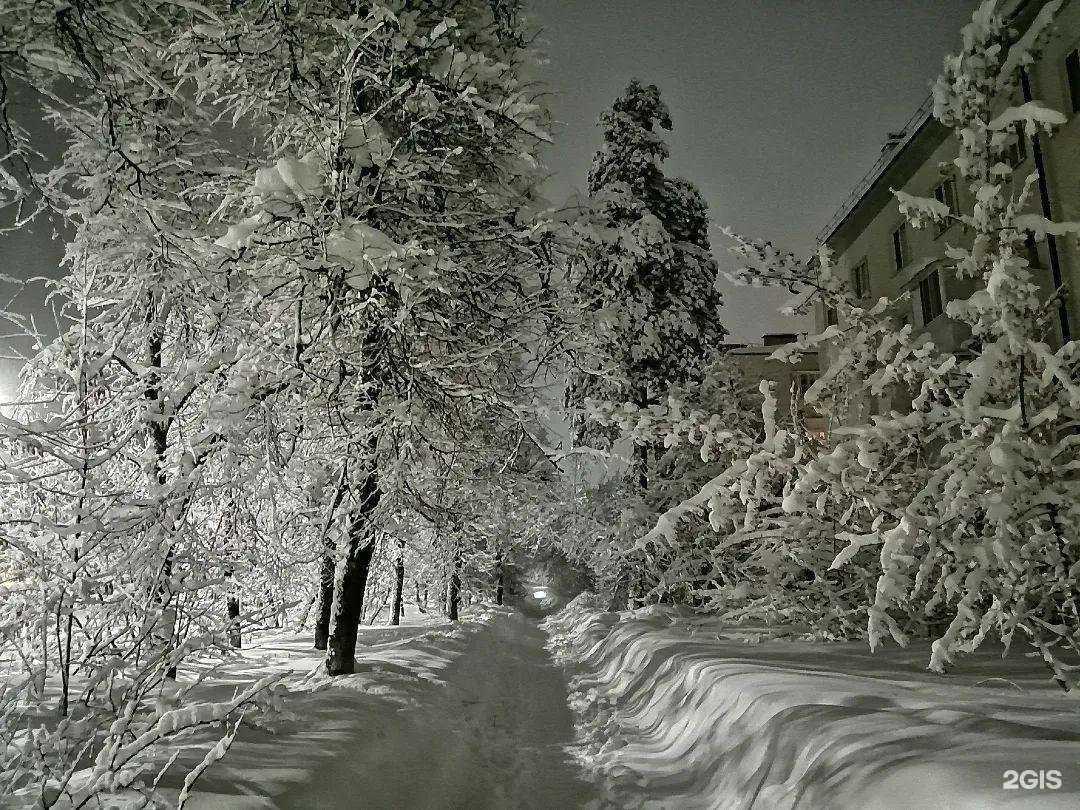 Отзывы на компанию Жемчужина в г. Димитровград c фото