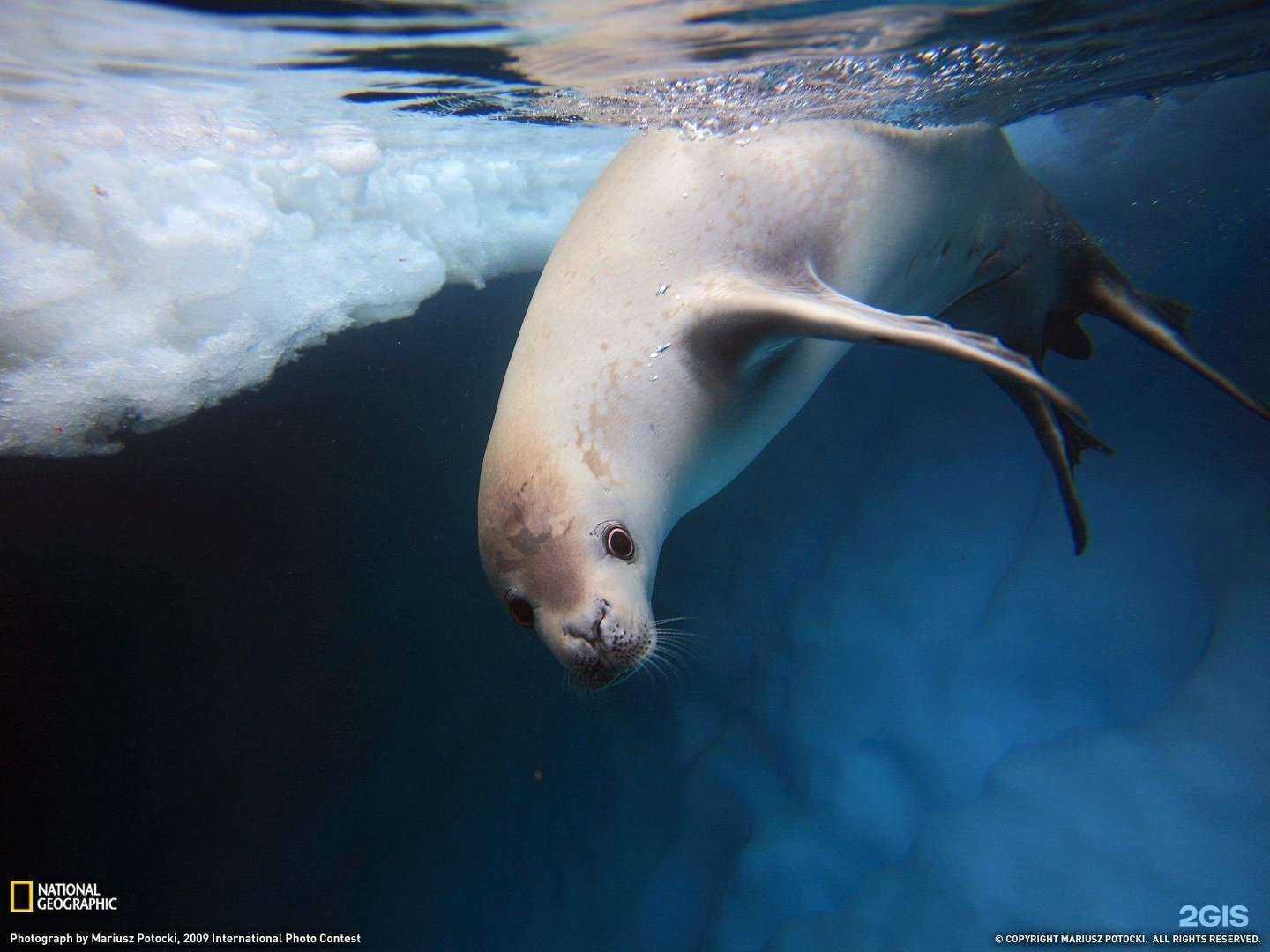 Отзывы на компанию Томский государственный университет систем управления и радиоэлектроники в Томске c фото