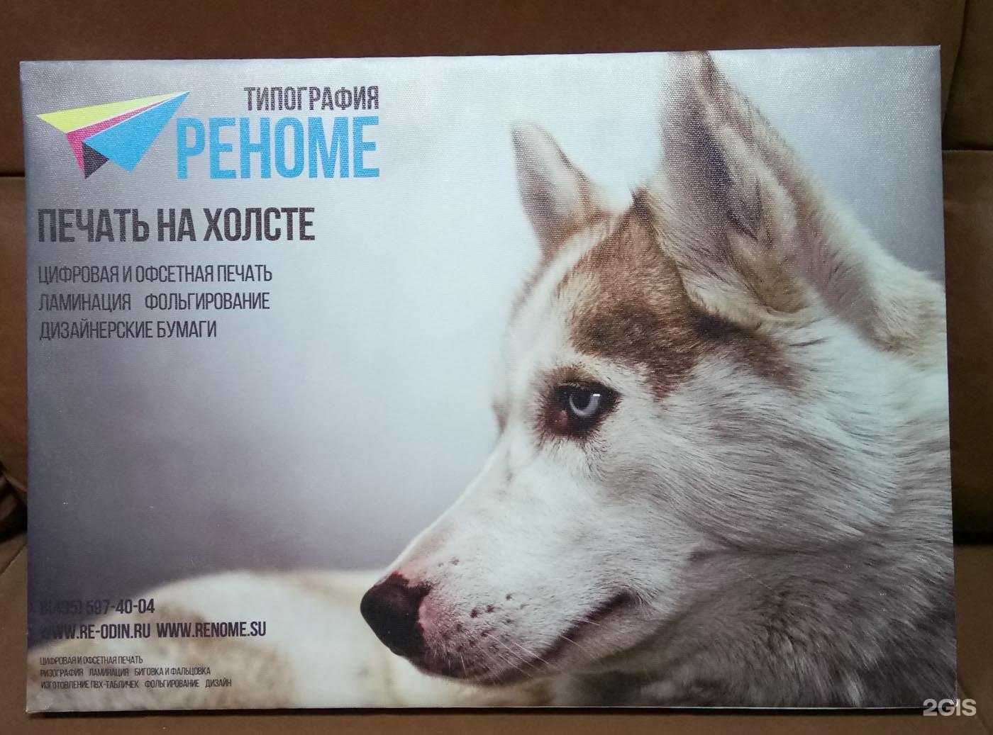 Отзывы на компанию Реноме в Одинцове c фото