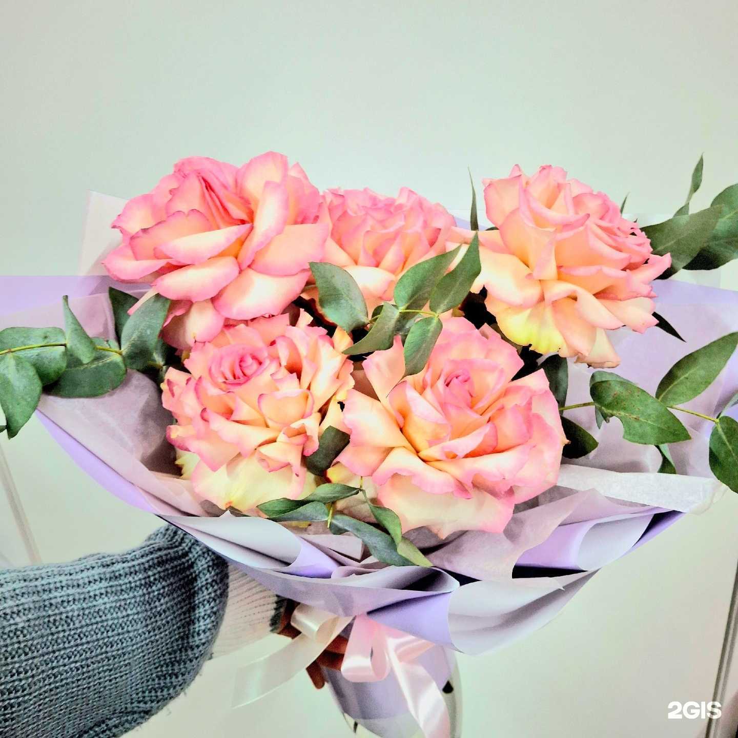 Отзывы на компанию Веселая затея в Самаре c фото