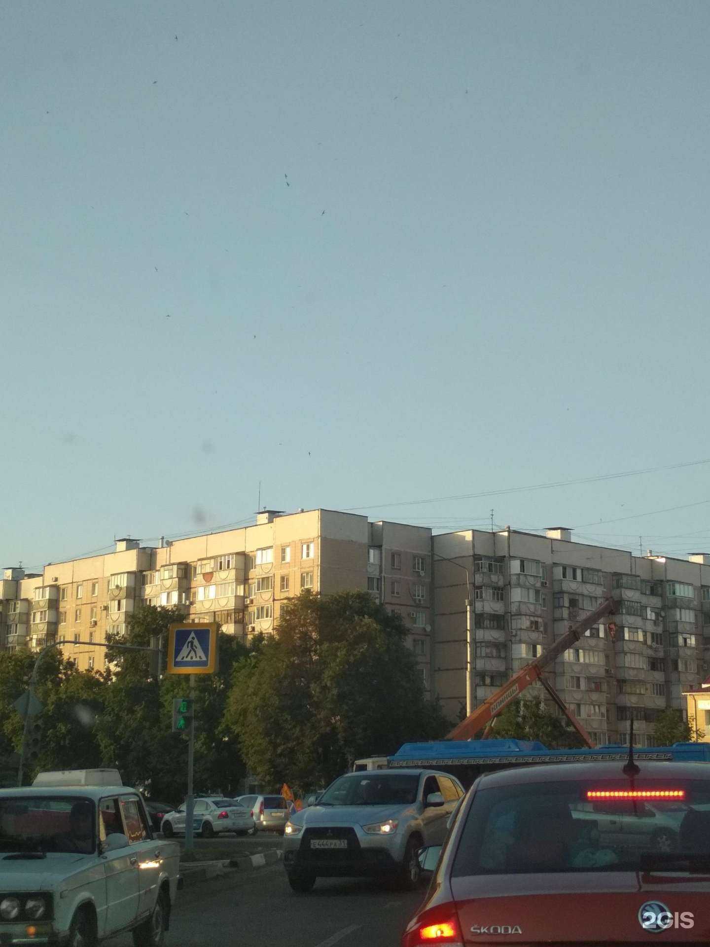 Отзывы на компанию Rivoli в Белгороде c фото - фотография 2 из 2