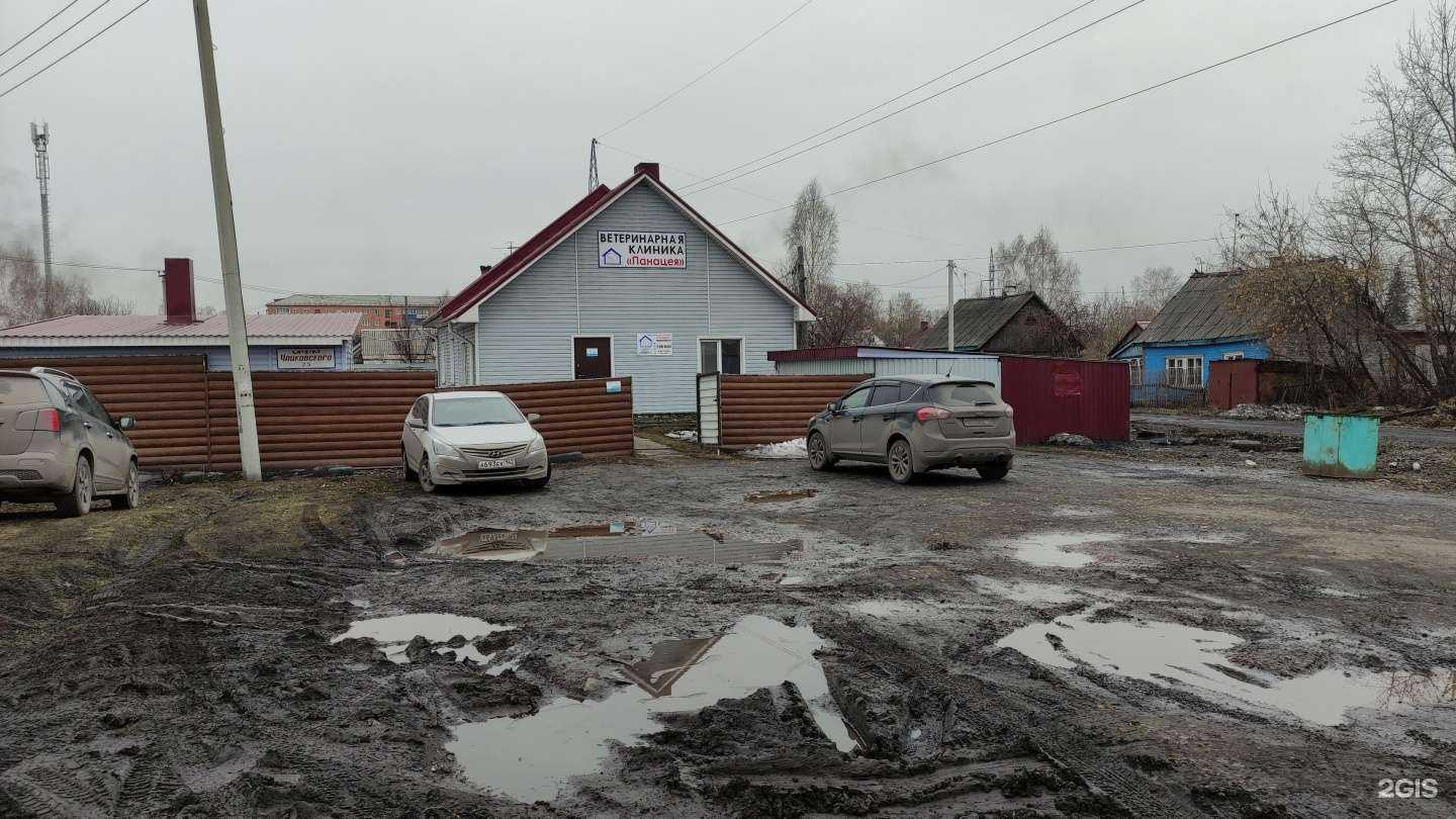 Отзывы на компанию Панацея в г. Киселёвск c фото