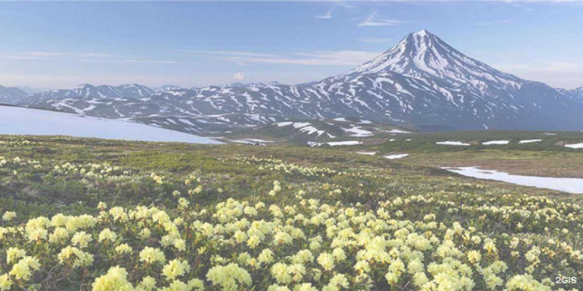 Отзывы на компанию Солнечный Ветер в г. Петропавловск-Камчатский c фото