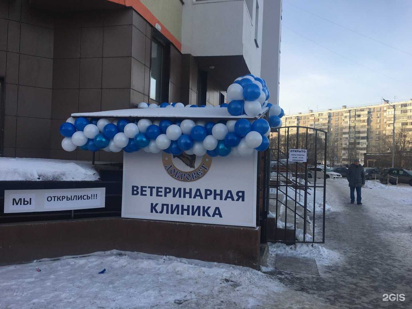 Отзывы на компанию ДоброВет в г. Челябинск c фото