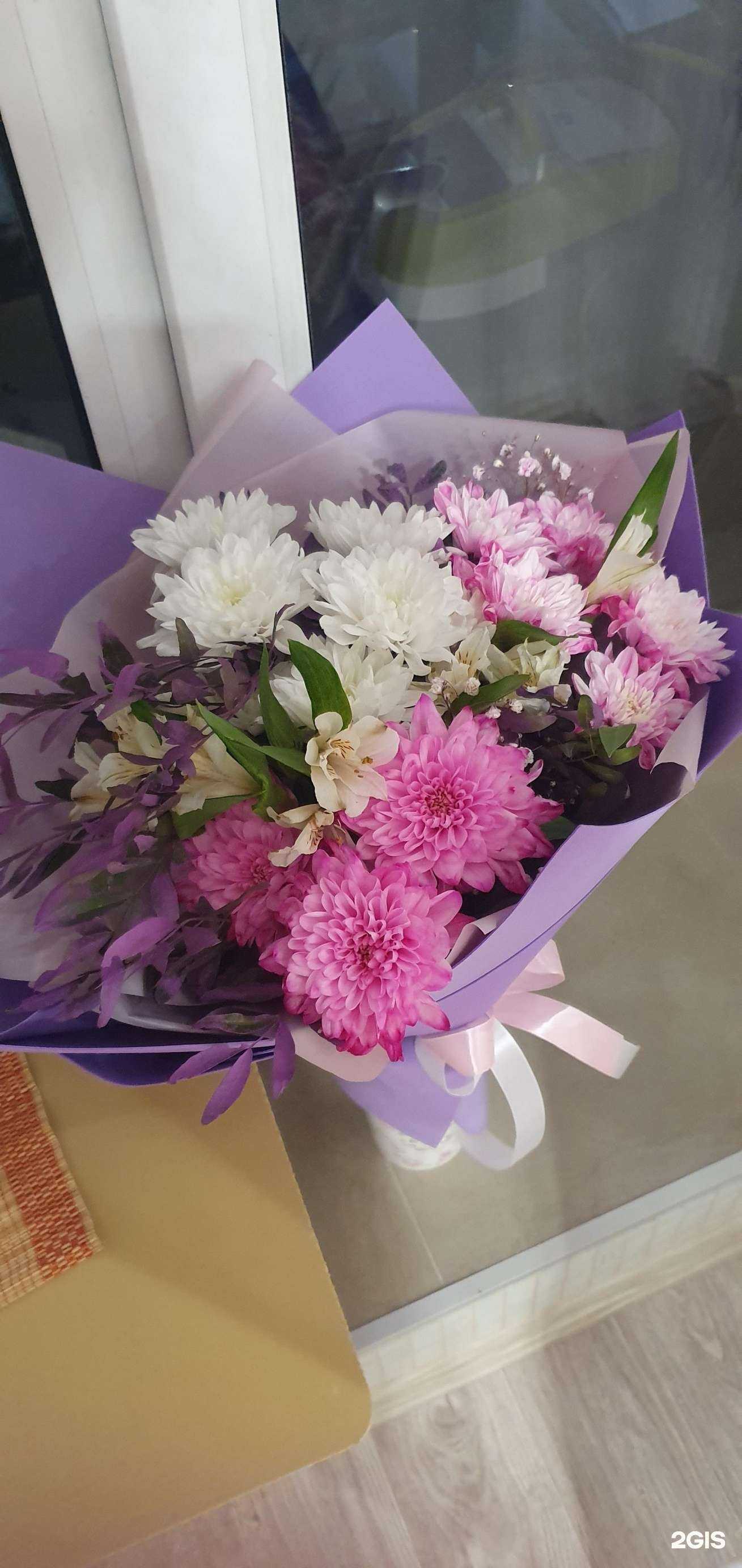 Отзывы на компанию Настасья в Новосибирске c фото