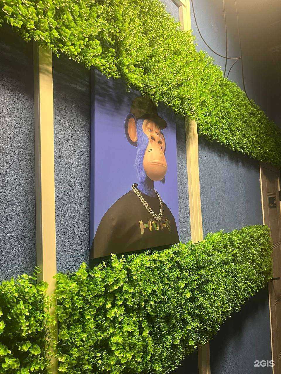 Отзывы на компанию Street Gaming в г. Кострома c фото