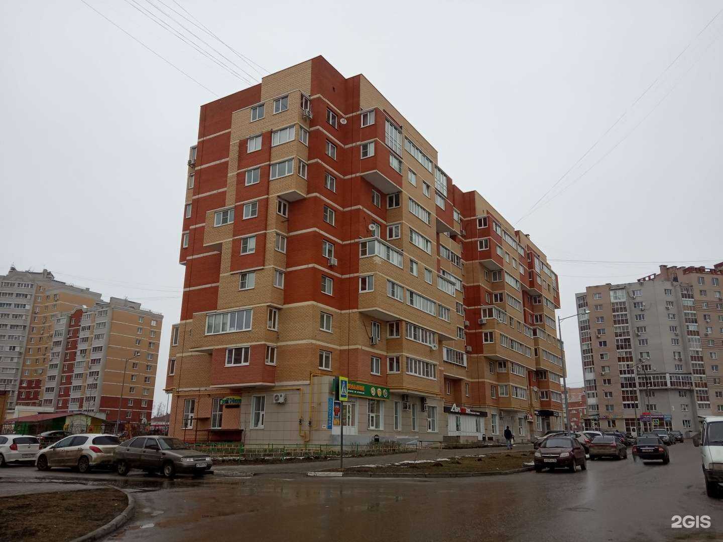 Отзывы на компанию ЭкZooтика в г. Липецк c фото