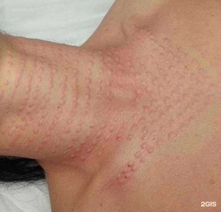 Отзывы на компанию Vip zone в г. Новокузнецк c фото