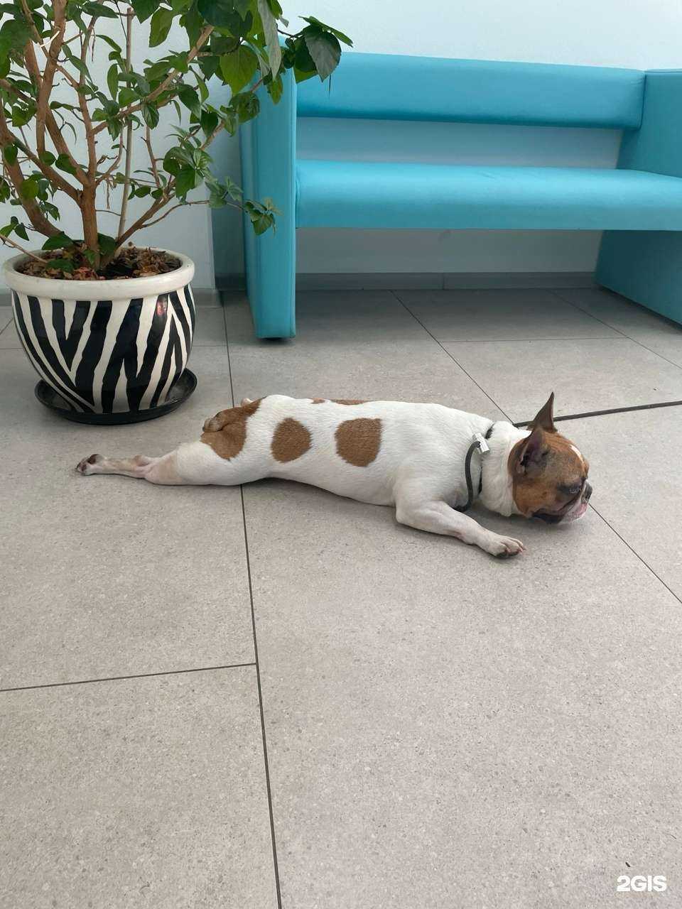 Отзывы на компанию Белый филин в Саратове c фото