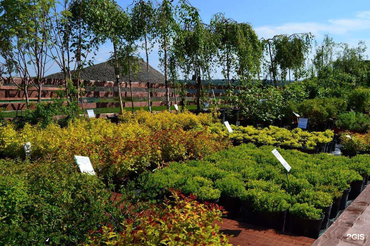 Отзывы на компанию Флора в г. Кемерово c фото