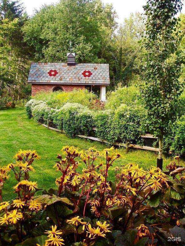 Отзывы на компанию Анемон в г. Саратов c фото