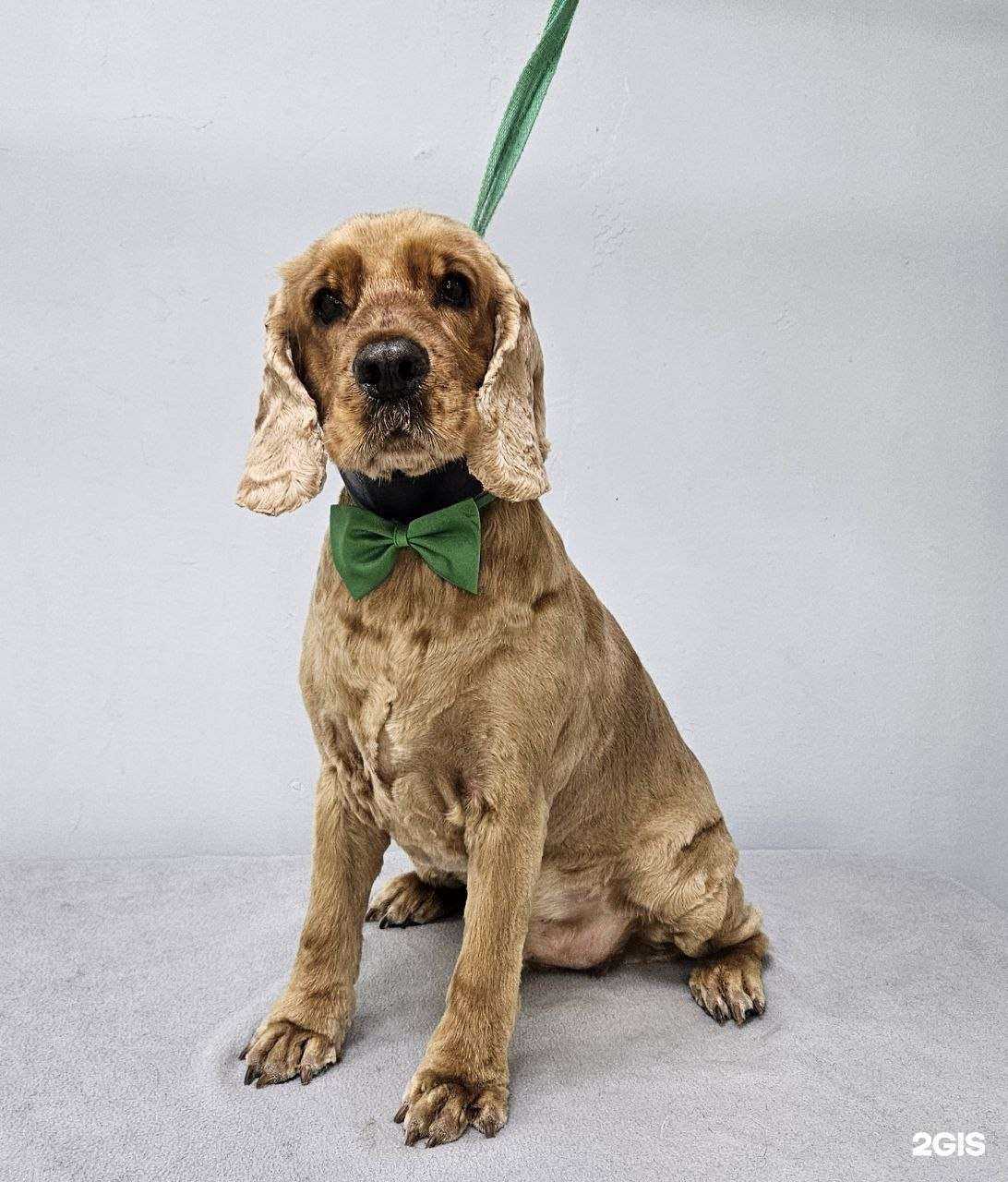 Отзывы на компанию Groom room в Архангельске c фото