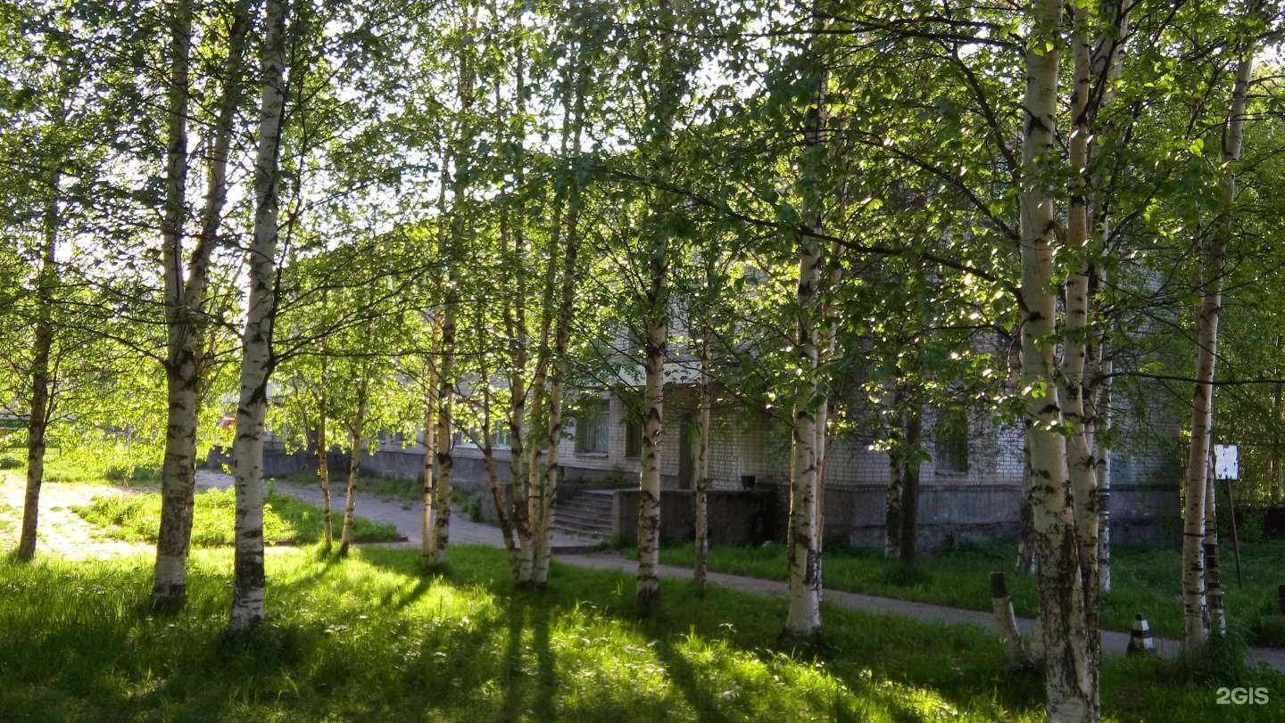 Отзывы на компанию Альянс в г. Архангельск c фото