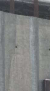 Отзывы на компанию Restart в Иванове c фото