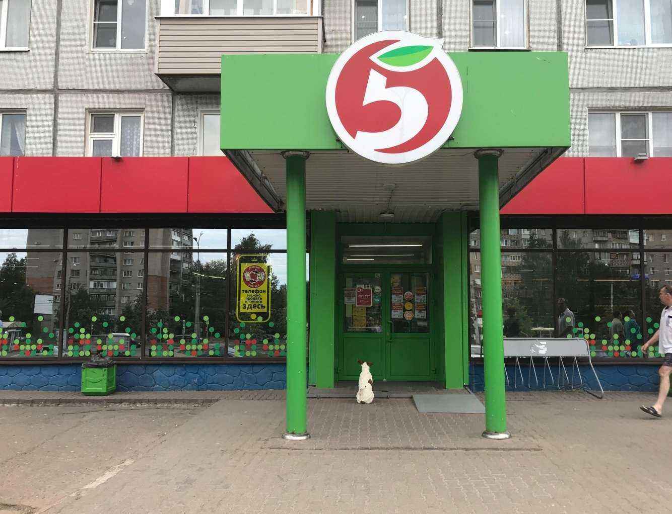 Отзывы на компанию Сотовик-Н в г. Великий Новгород c фото