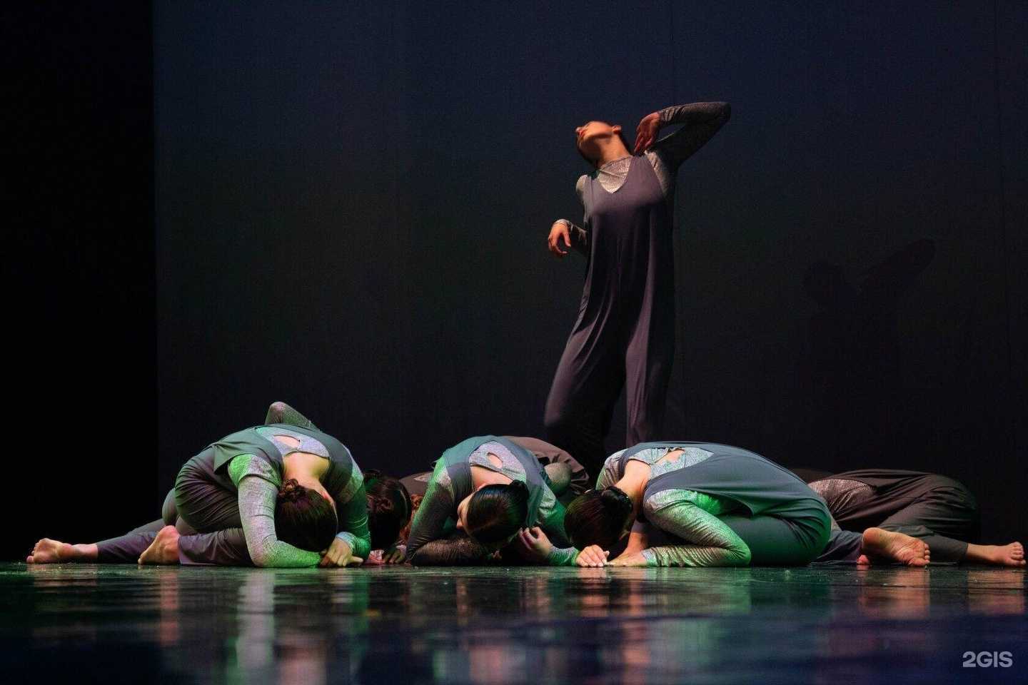 Отзывы на компанию Zanoza в Владивостоке c фото