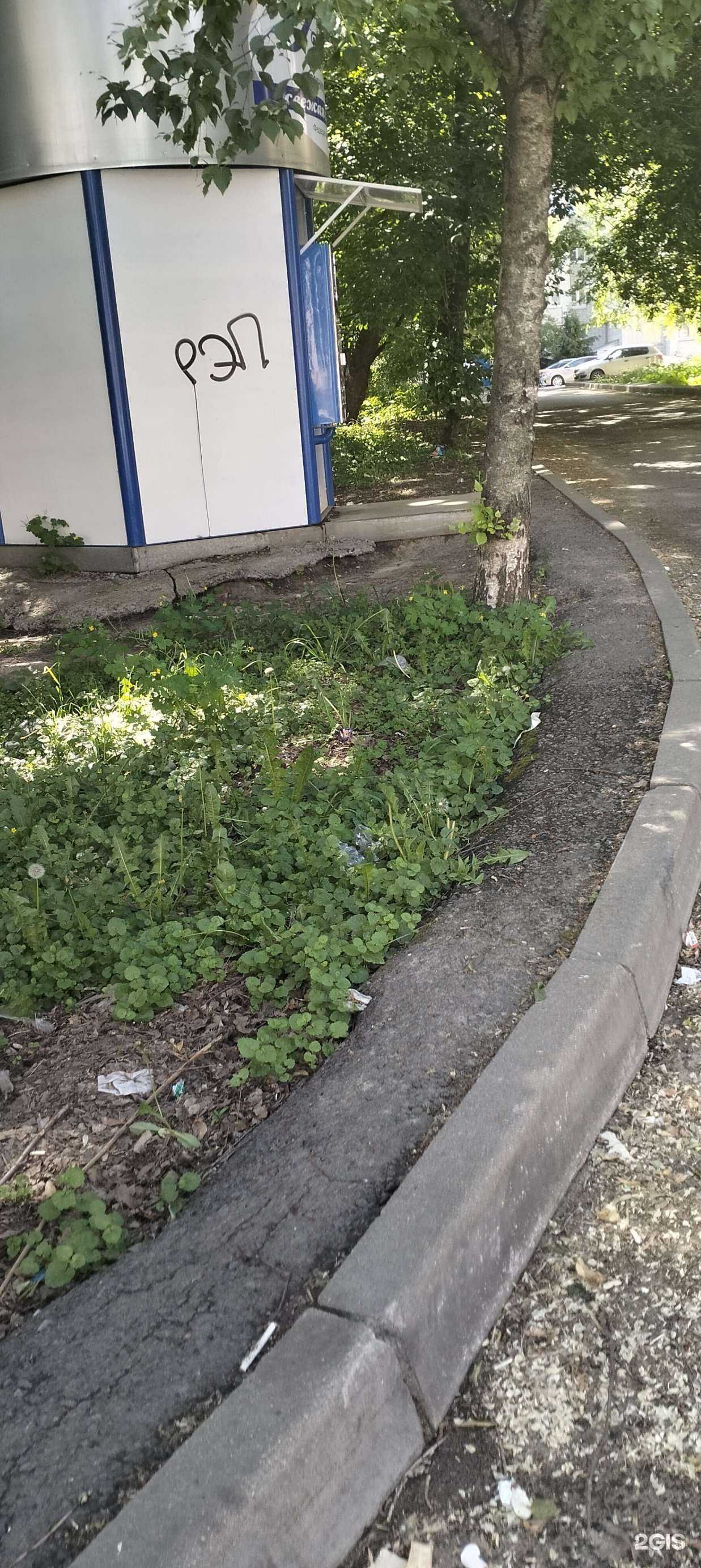 Отзывы на компанию Ключ здоровья в Тамбове c фото